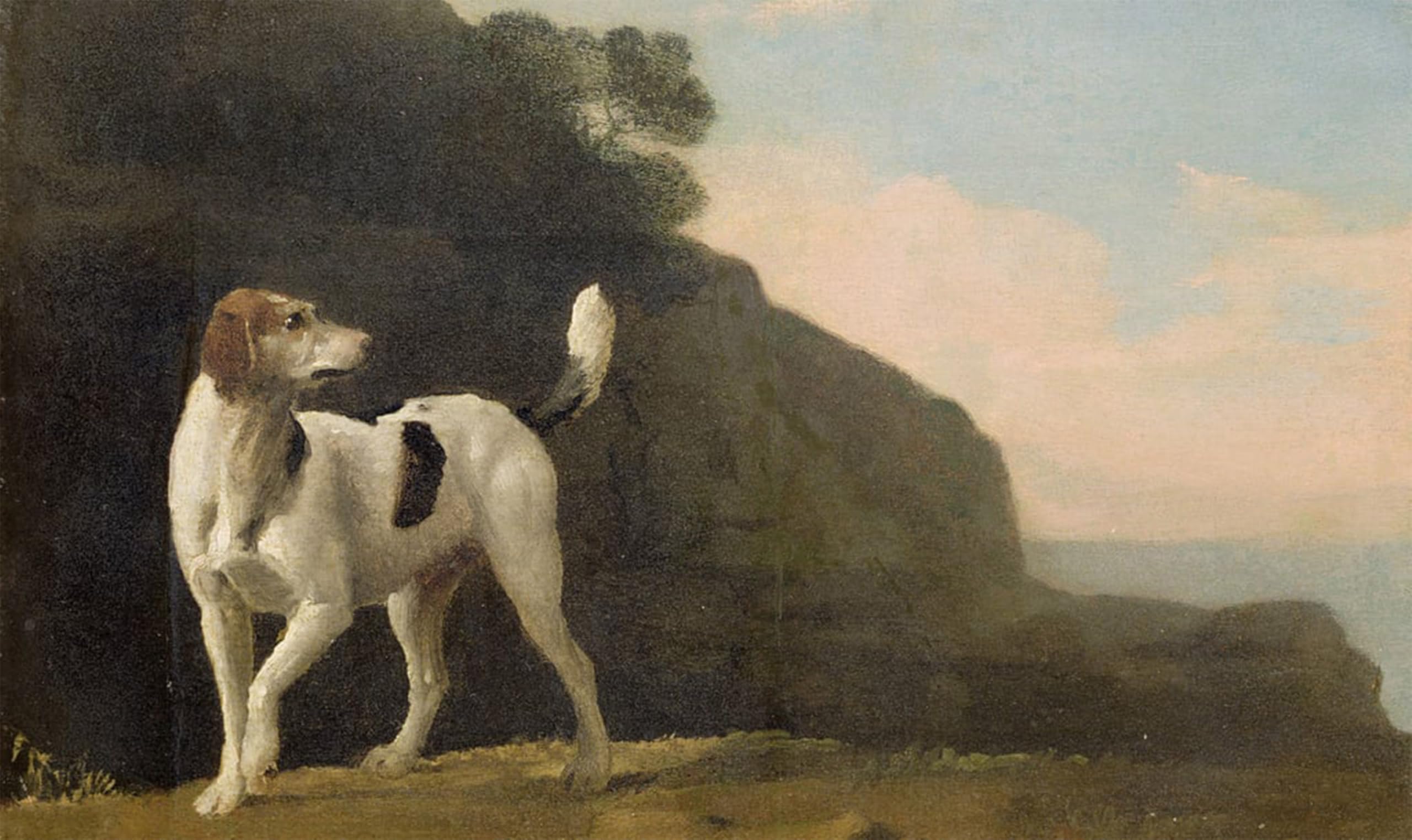 POSTERIIk Famous Animal Posters Vintage Picture a Foxhound by George Stubbs Modern Wall Decor for Home Decor 60x90cm