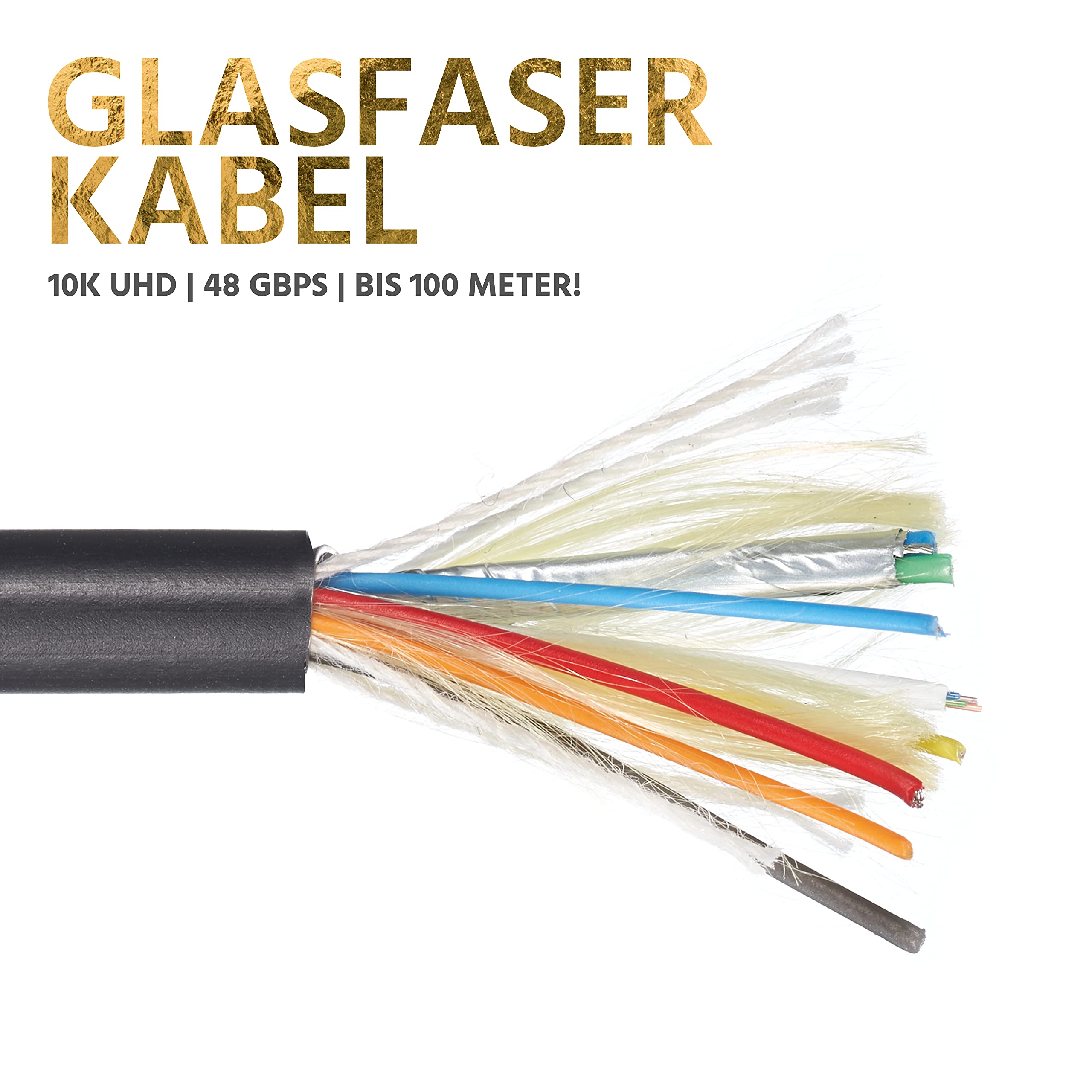 Eagle Cable by INAKUSTIK – 313245100 - Deluxe Ultra High Speed HDMI 2.1 Kabel | 100m | 48 Gbps | Lichtwellenleiter | UHD 10K@120Hz | professionelles Heimkino & Gaming | HDR10+