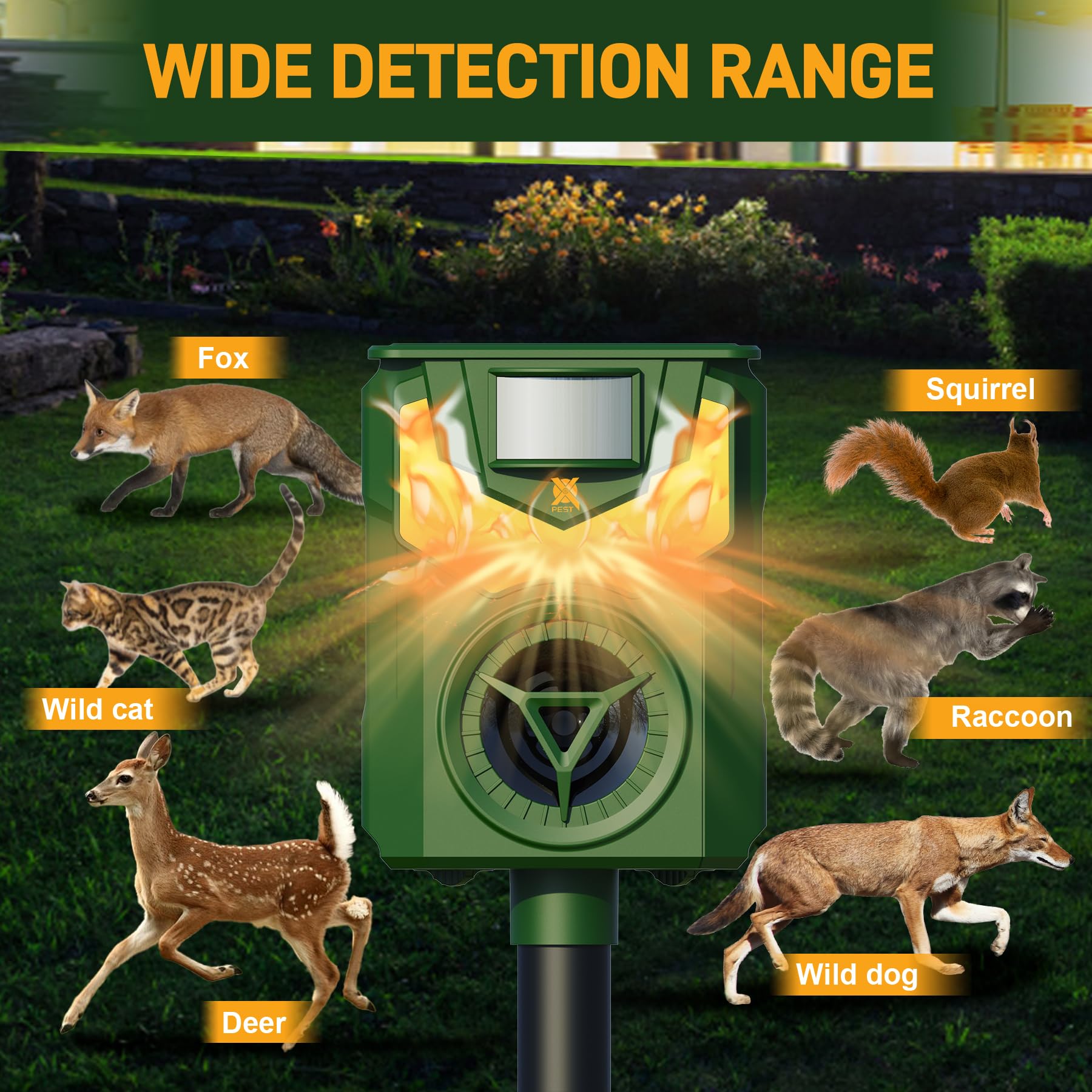 Amazon.com: X-PEST Solar Ultrasonic Animal Repeller with Motion