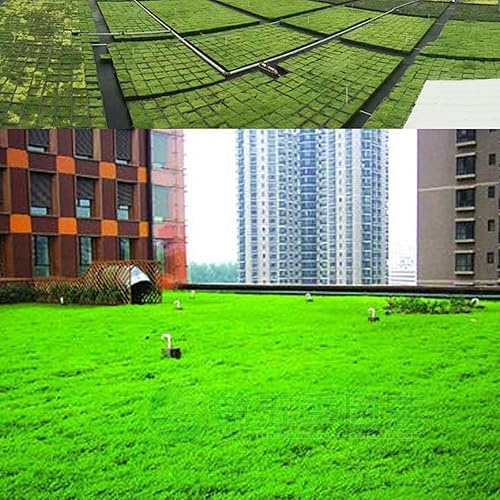 Miniatura 3 de TOPINCN Garden Grow Bed Greening Planting Box Roof Buddha Grass Grass Planting Box Container Combination Planter Seed Pot Rectangle Pp for Module