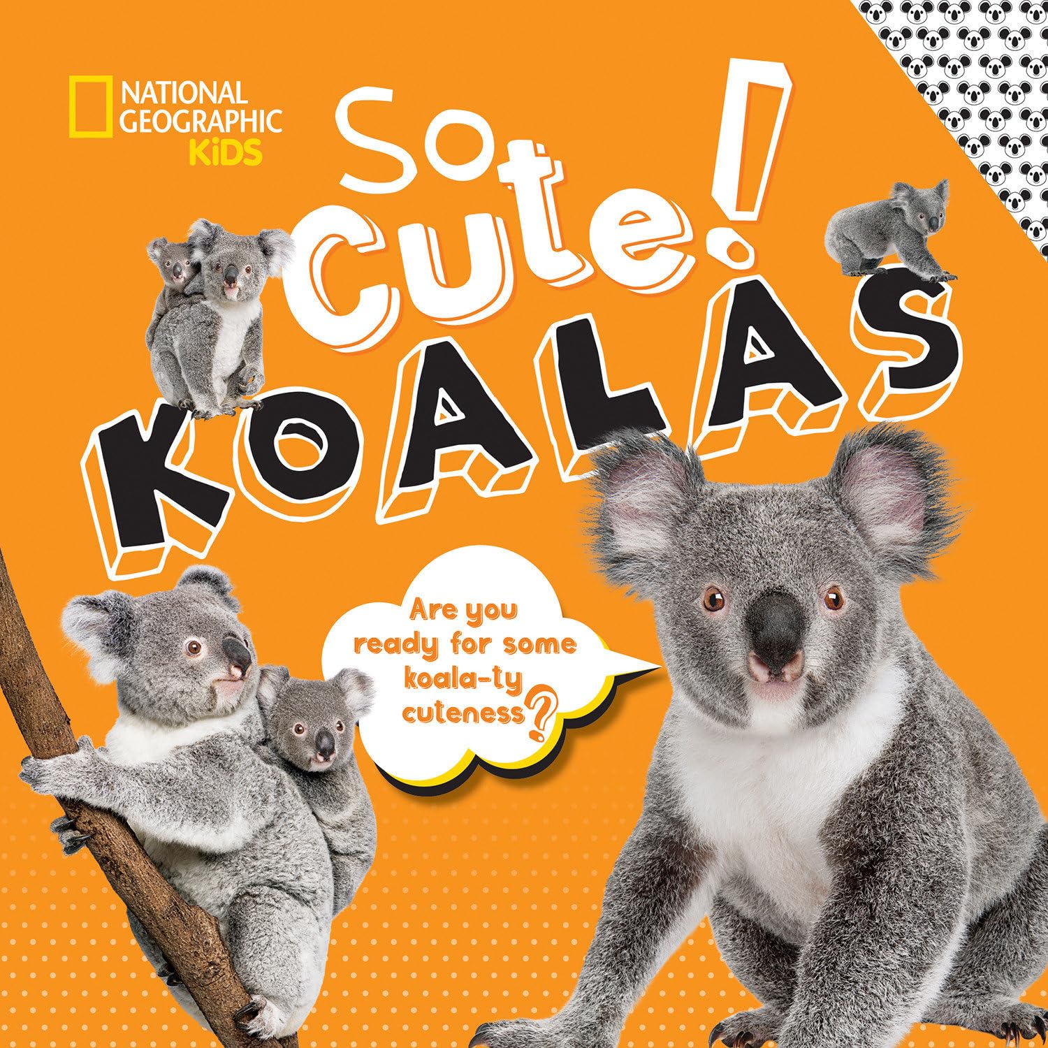 National Geographic So Cute! Koalas Hardcover – Picture Book, 31 October 2019