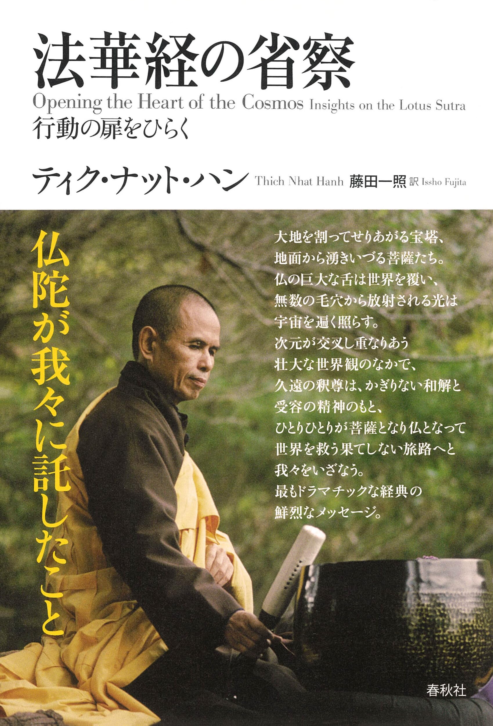 法華経の省察: 行動の扉をひらく | ティク・ナット・ハン, 藤田 一照
