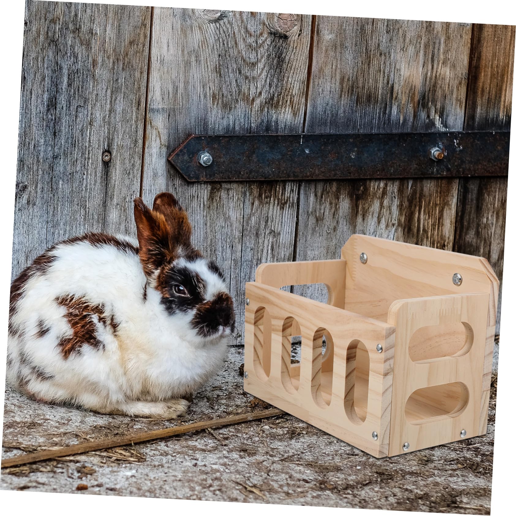 Mikikit Mangiatoia in Legno Design Cavo Anti Spreco Facile da Installare per Conigli e Porcellini D'india Adatta per Gabbia Pet