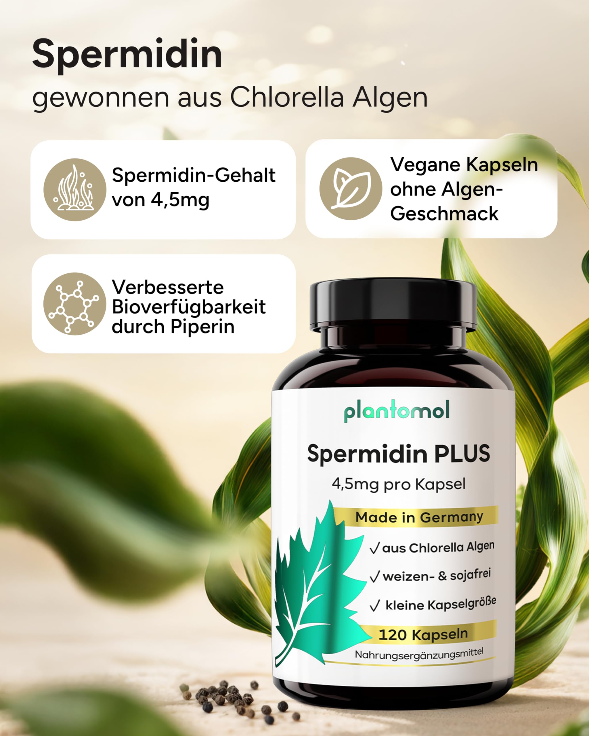 Spermidin Kapseln hochdosiert - 4,5mg Spermidine pro Kapsel - Gehalt durch externes Labor bestätigt - 4 Monatsvorrat - 120 Spermidin PLUS Kapseln