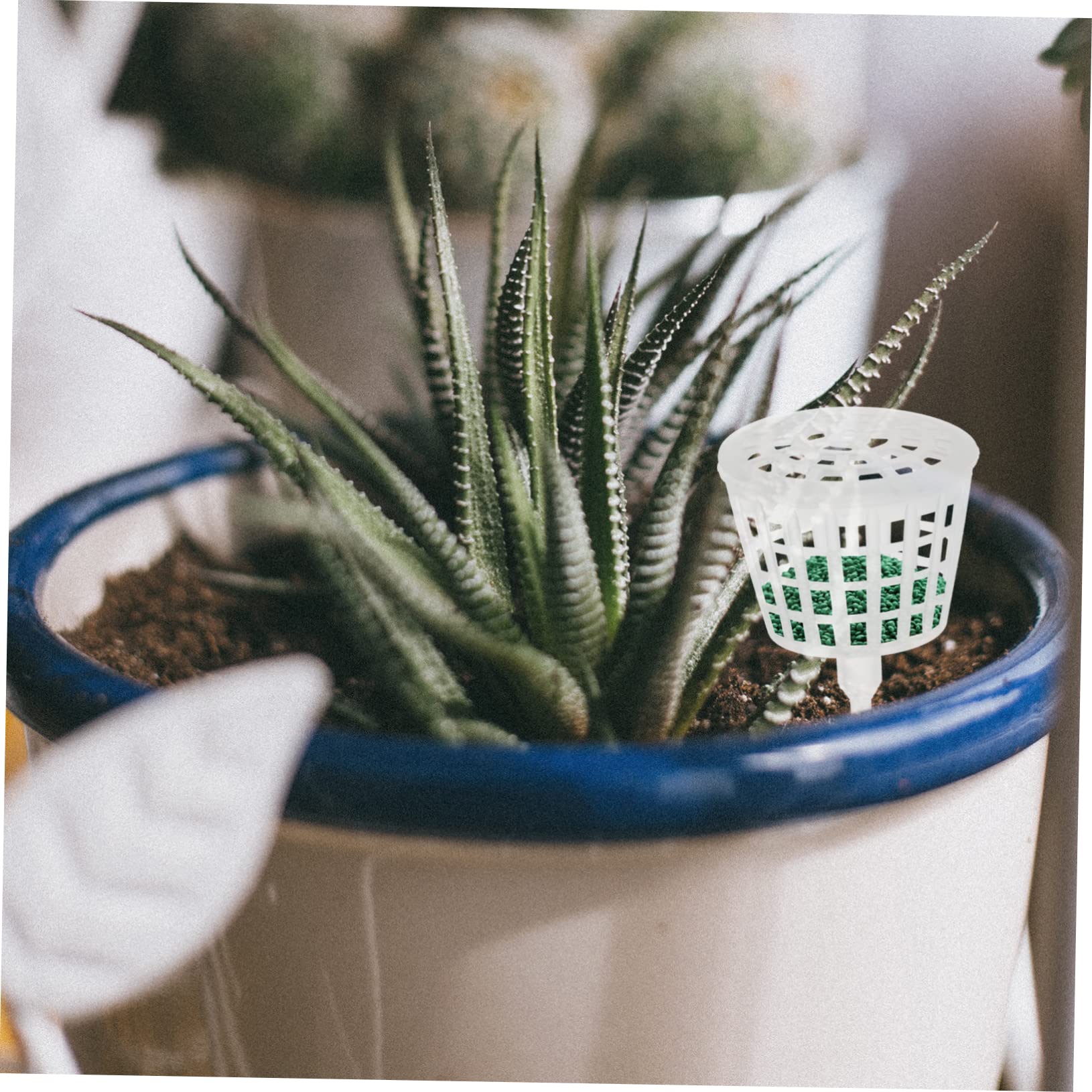 4 ensembles Boîte À Engrais Outil De Fertilisation Pour Bonsaï Accessoires De Jardinage Fournitures De Jardinage D'Intérieur Conteneur De Fertilisation 30 pièces * 4
