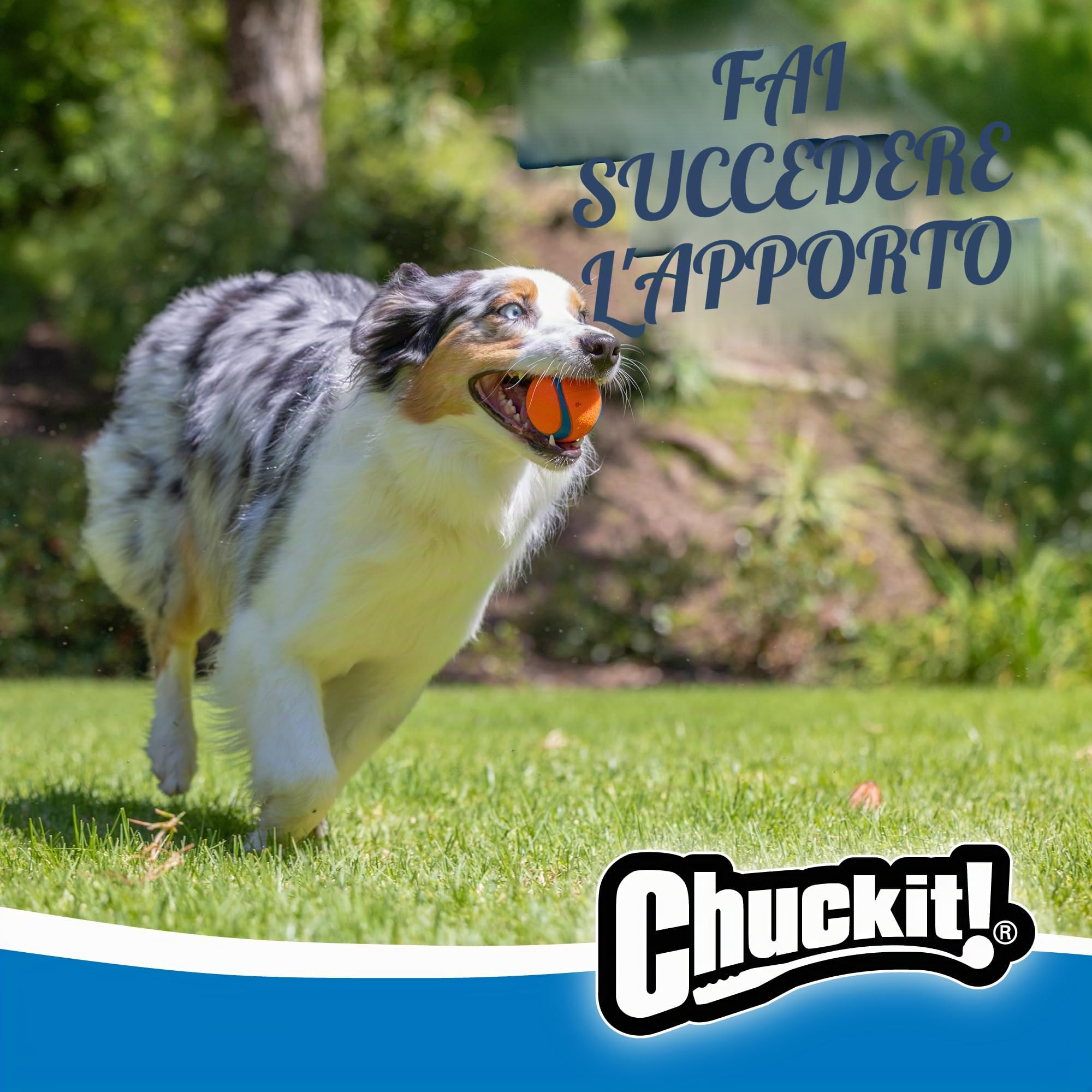 Chuckit Ultra Ball Cane, Palla Multicolore, M