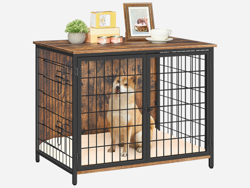How Much Does It Cost to Kennel a Dog: Affordable Tips Revealed