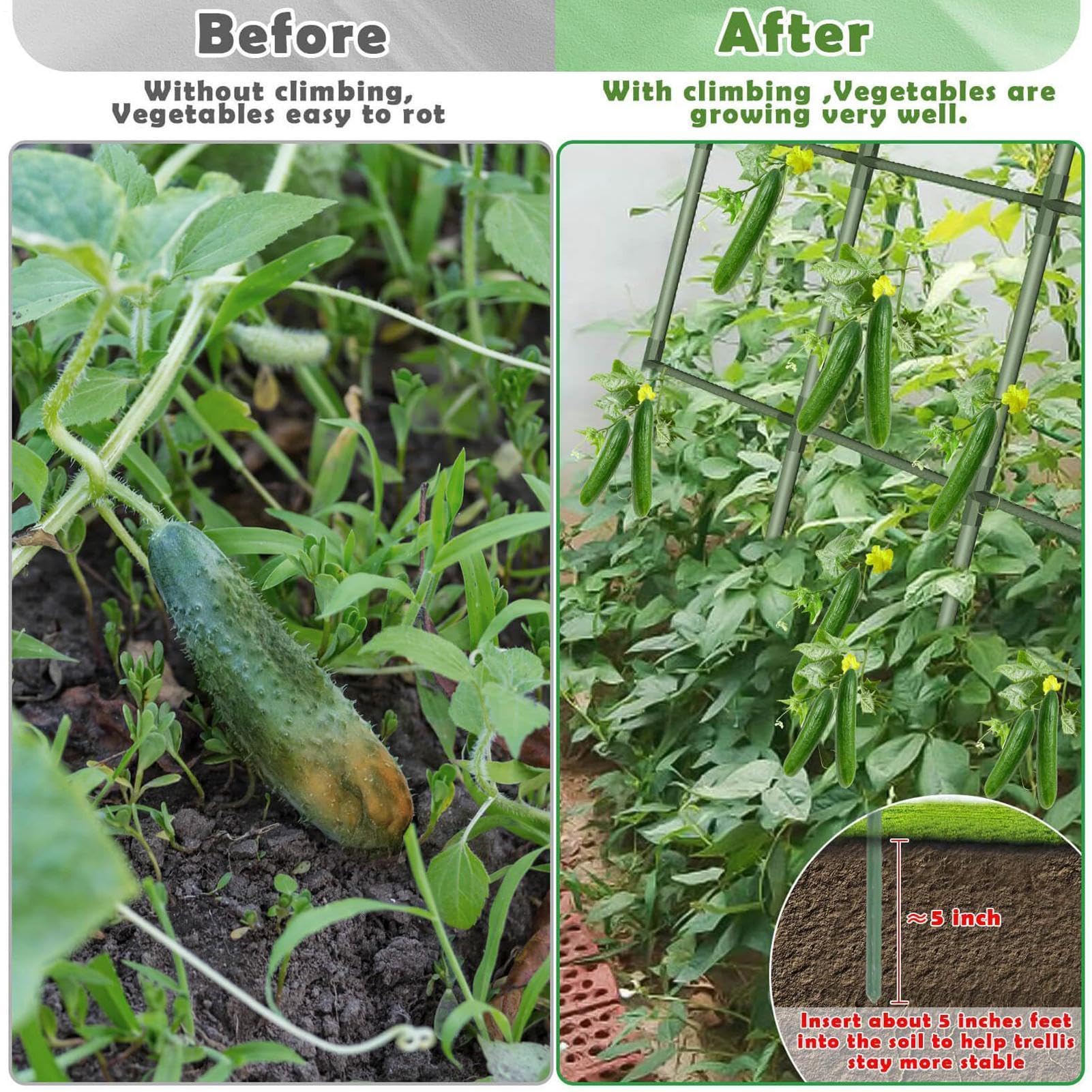 Enrejado Para Pepinos Soporte en U de alta resistencia | Enrejado Metálico De Jardín Para Pepinos Tomates, Uvas, Flores, Berenjenas, Cultivo De Invernadero