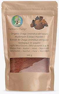 Fantastic Fungi® Chaga (Inonotus obliquus) extract powder-100 grams-3 month supply- powdered organic, hand picked Chaga mushroom - Highly Concentrated Chaga (100:1) extract powder ready to use in your tea or coffee