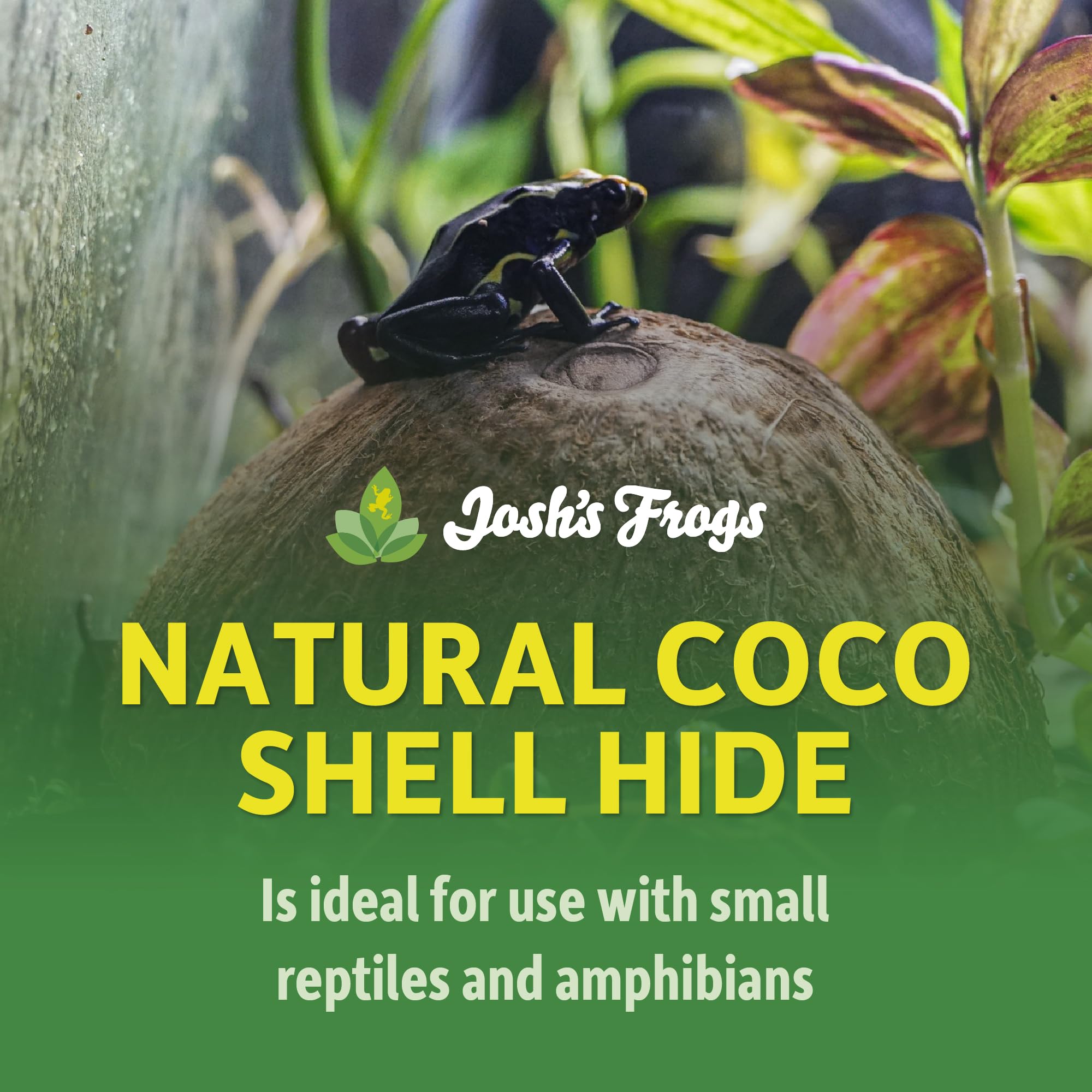 Josh's Frogs Natural Coco Shell Cave