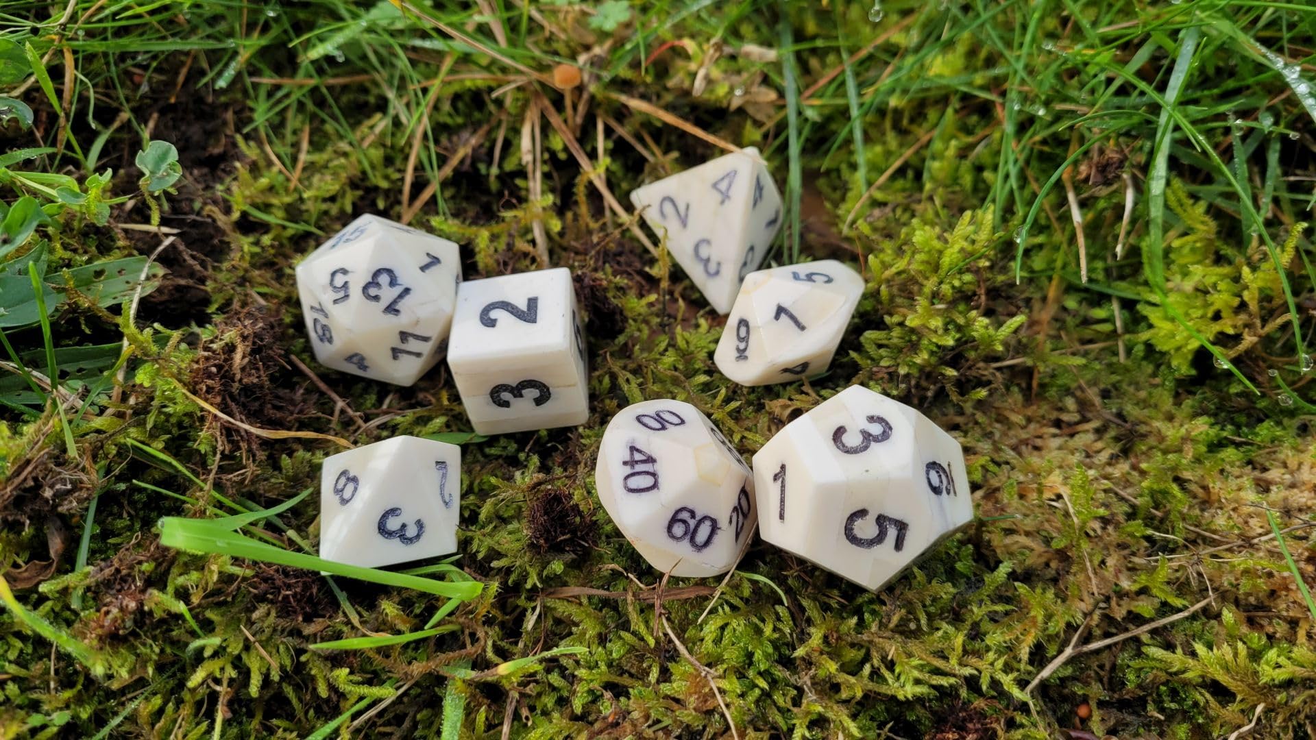 Juego de rol medieval de 7 piezas de hueso hecho a mano, con funda de piel negra, dados W4-W100, números grabados, producto natural (hueso)