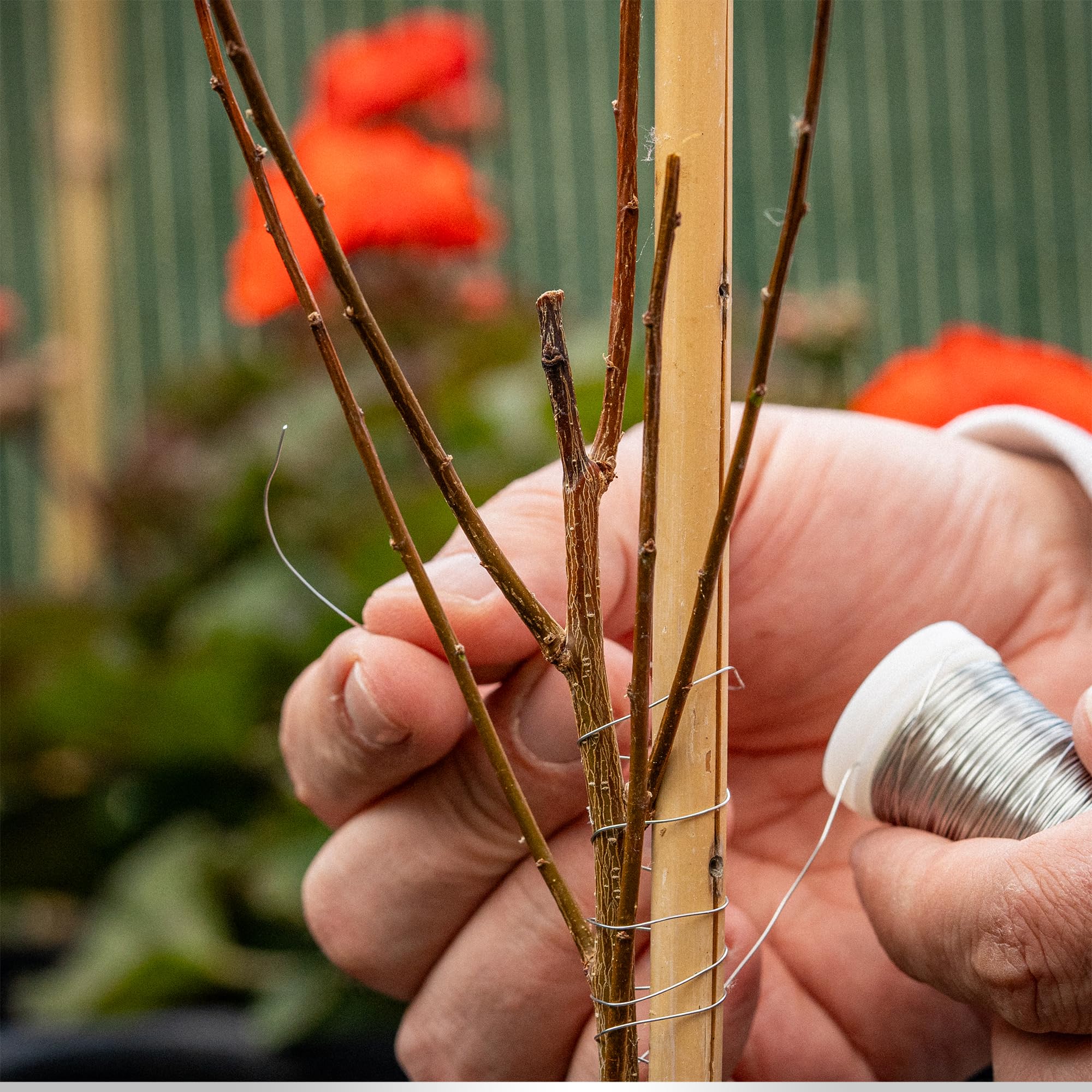 ECENCE Alambre manualidades - 3 rollos 60m Ø 0,35mm - Alambre de mirto recocido de hierro - en color Plata para plantas y floristería - Alambre para atar