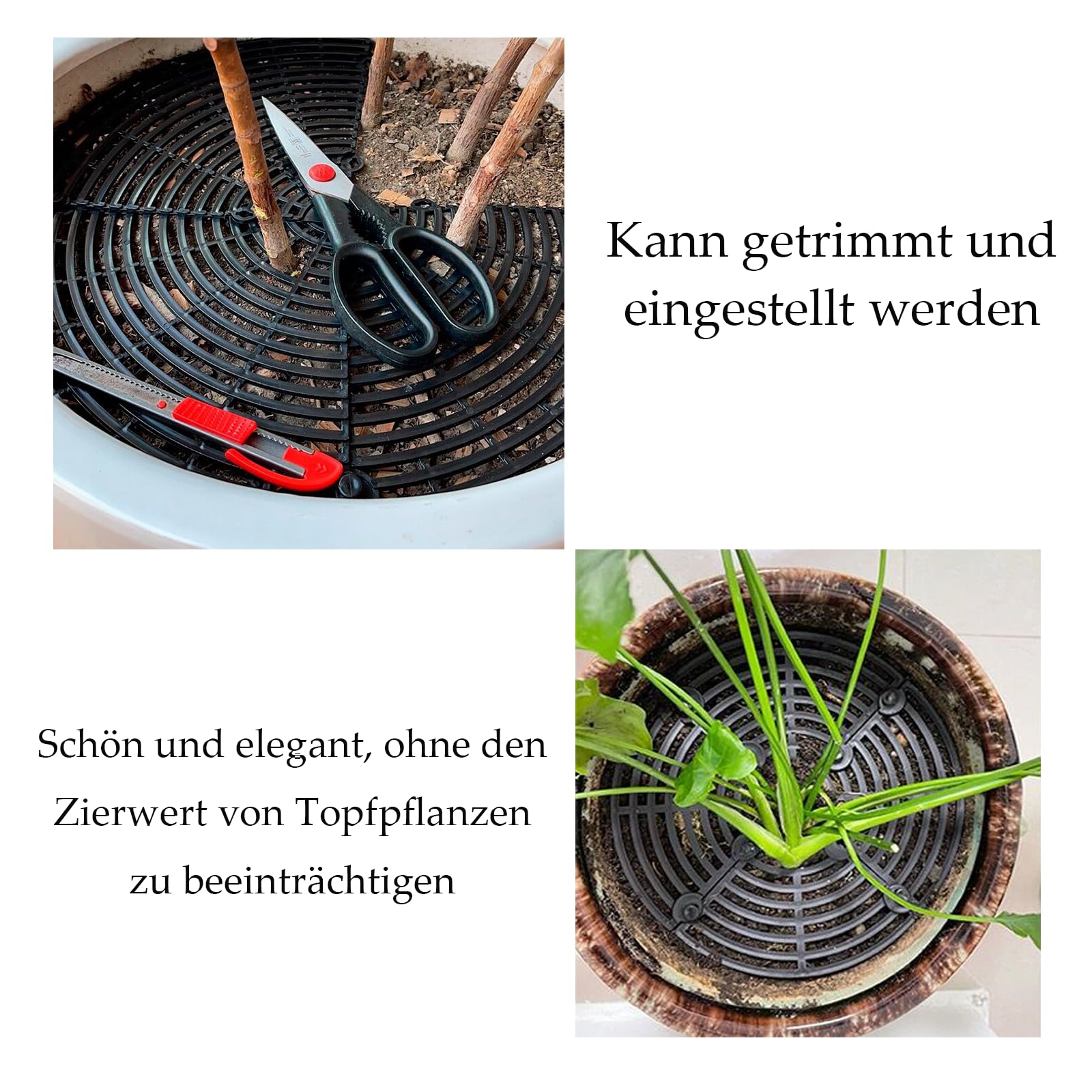 Grilles De Protection Pour Pots De Fleurs - Lot De 2 - Diamètres 19/30/52 Cm - Clous 10 Cm - Anti-chats