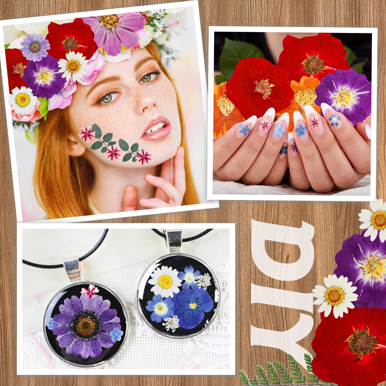 Pressed Flowers Resin Flowers for Resin Mold, Real Daisy Dried Flower Leaves Natural with Tweezers for Scrapbooking DIY Candle Accessories Jewelry Crafts Making (Bright Style)