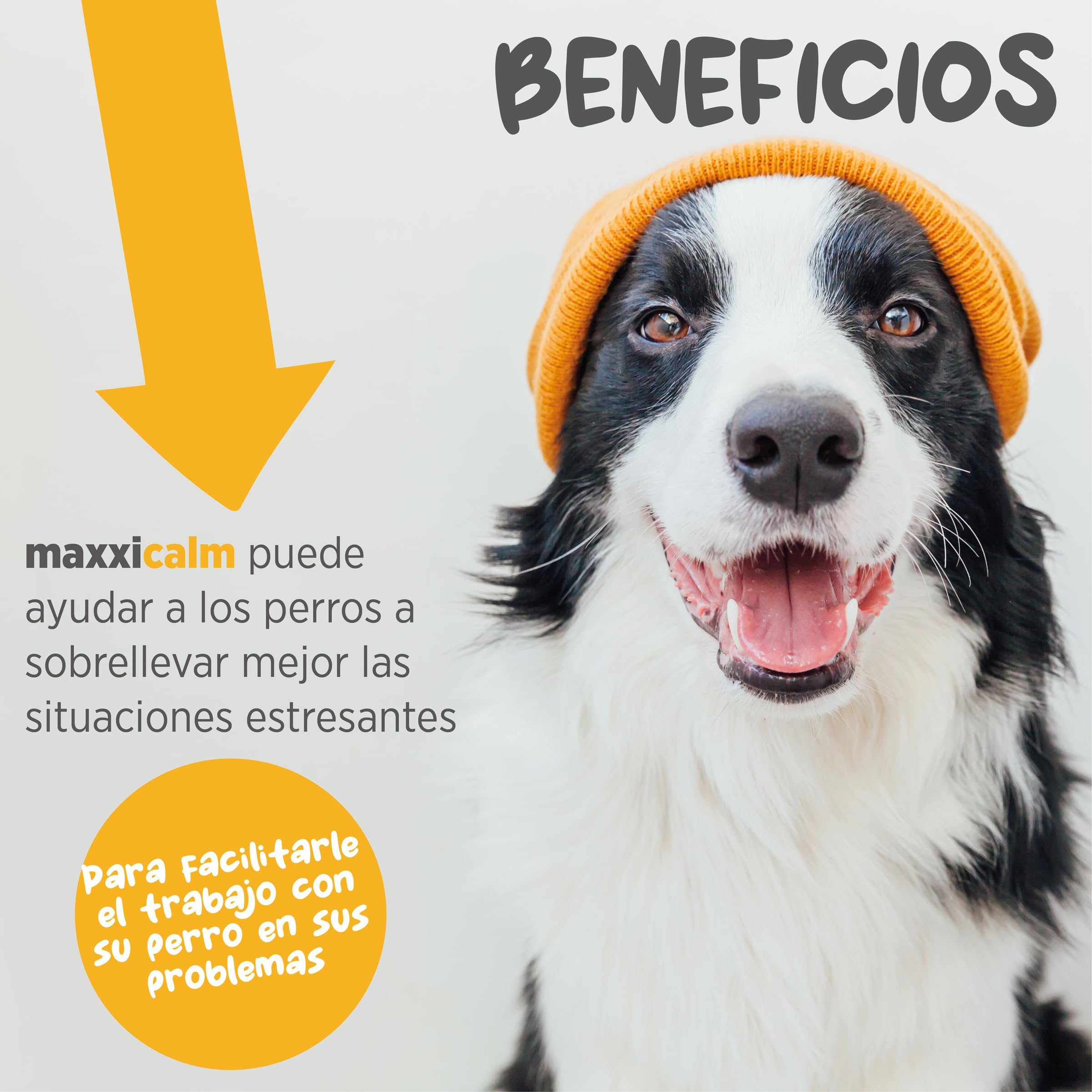 maxxipaws maxxicalm Calmante Perros - Ansiedad & Estrés - 120 Comprimidos