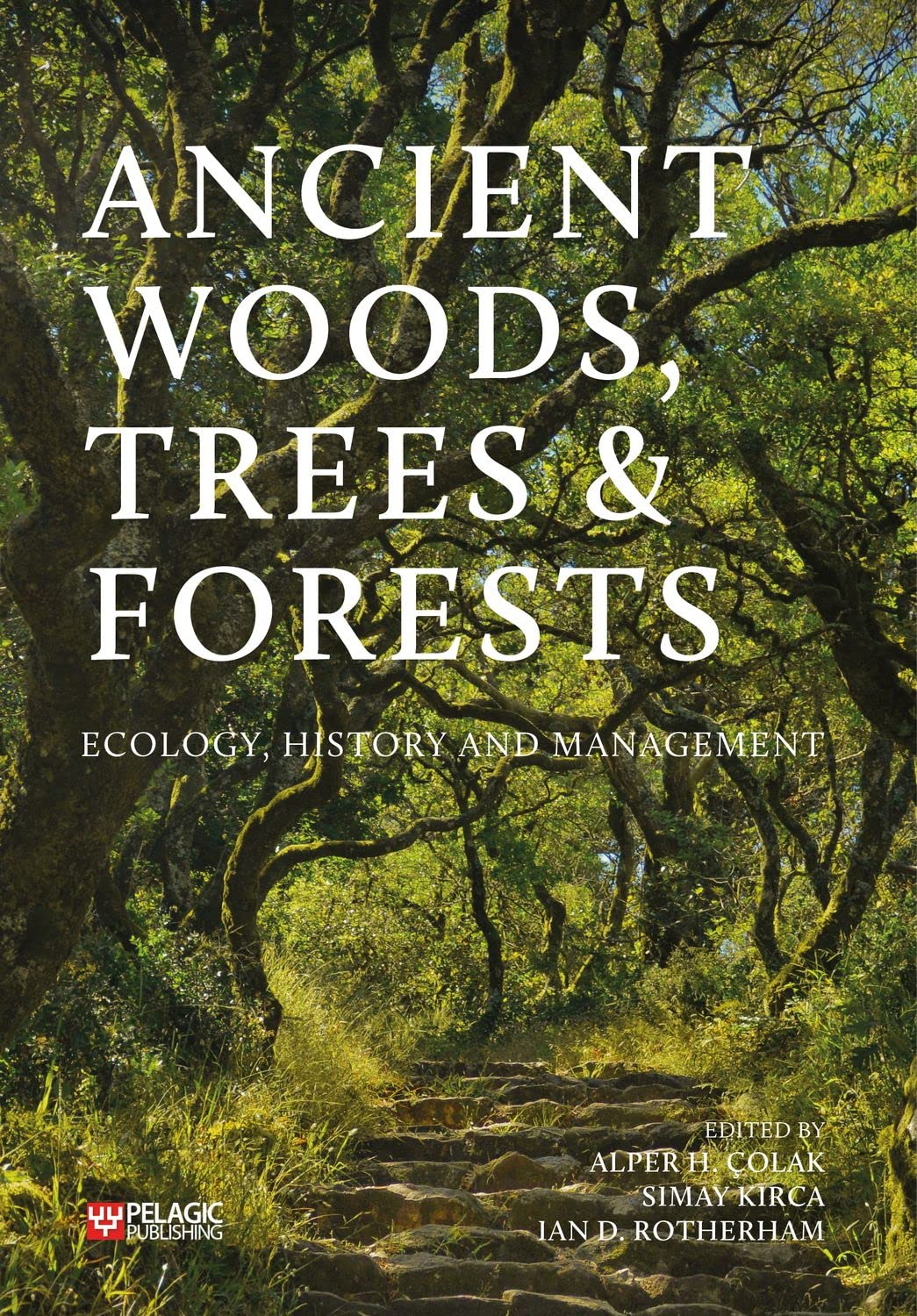 Ancient Woods Trees and Forests PAPERBACK 9781784275396