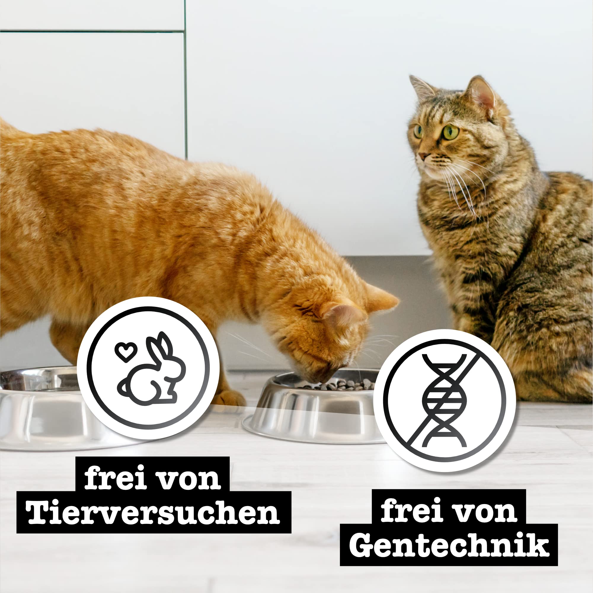 catz finefood Purrrr Collection I monoprotein mokra karma dla kotów – bez zbóż, bez cukru, hipoalergiczna, wysoka zawartość mięsa, opakowanie wielu mokrej karmy dla kotów, w woreczku, 6 x 400 g