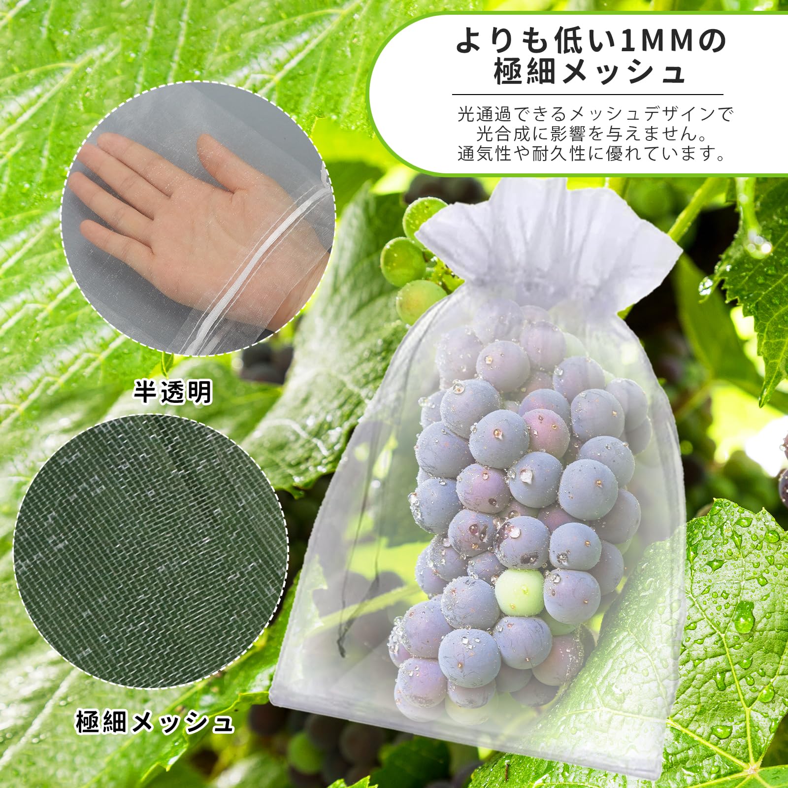 Amazon.co.jp: ブドウ袋 ROYUEXT ぶどう 袋 大 特大 25*35cm 50枚入