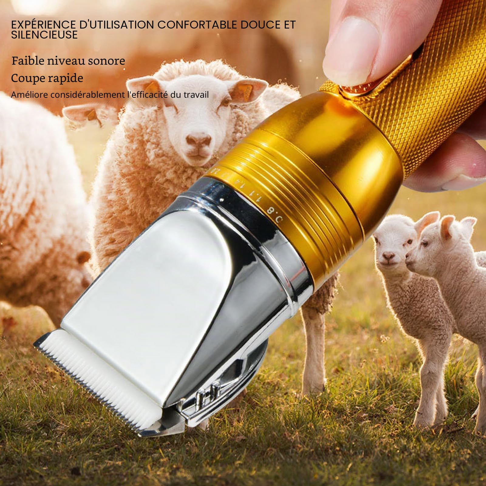 BestAlice Cisaille à Moutons Tondeuse électrique Professionnelle pour Moutons, Tondeuse de Toilettage pour Moutons, Alpagas, Chèvres, 6 Vitesses, Machine de Toilettage pour Chats, Chiens(EU)
