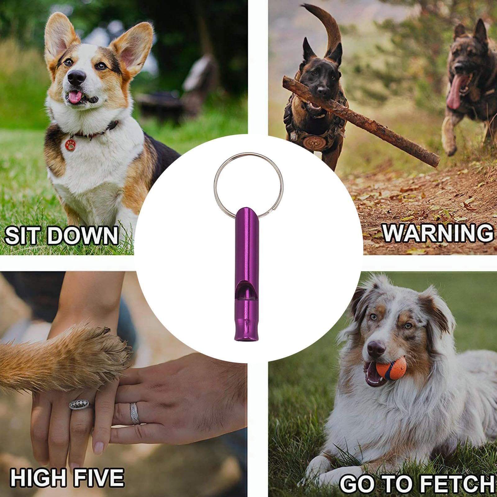 Sifflet de dressage puissant pour chien, chiot, chat, chien, sifflet de dressage pour rappel et dressage de chien, fréquences réglables, ensemble de dressage pour chien