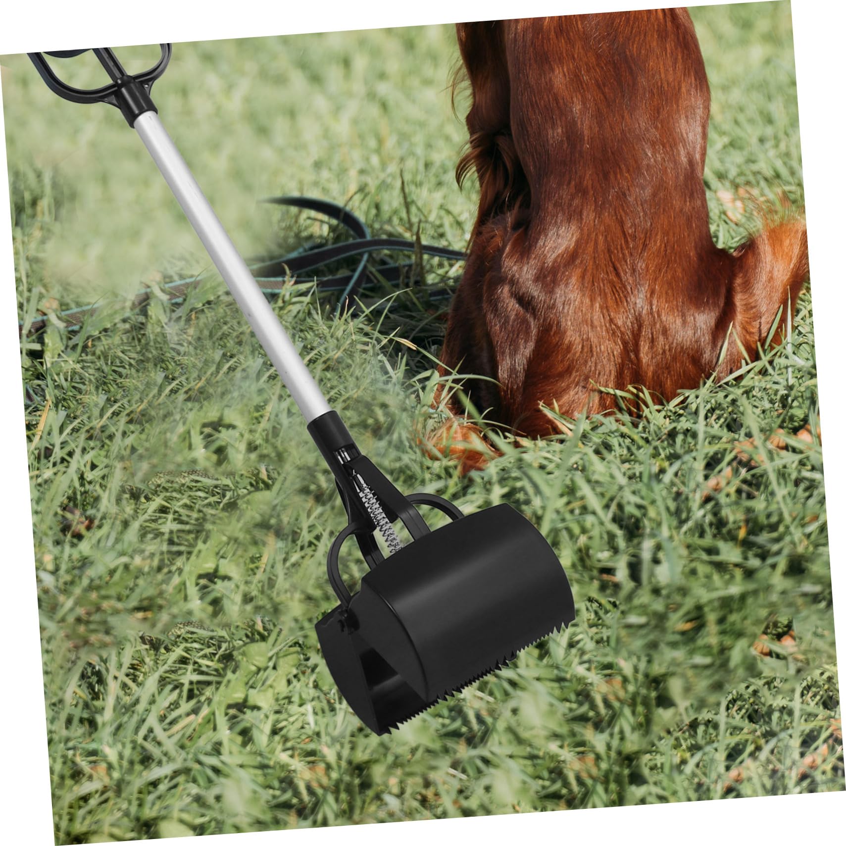 Ramasse-Crottes pour Animaux de Compagnie Long Manche Outil Pratique de Nettoyage et Solide pour et Chiens Couleur Aléatoire