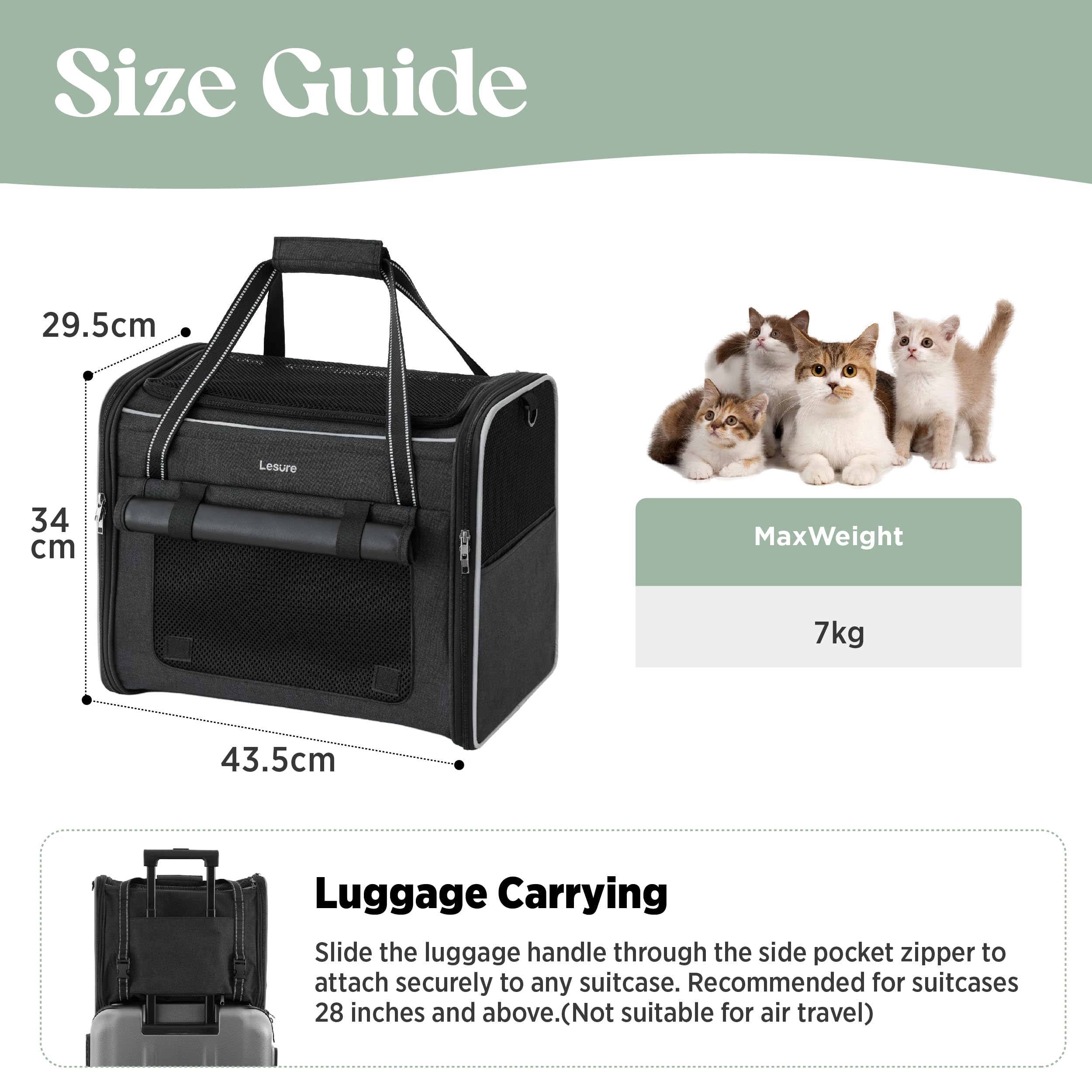 Lesure Faltbare Katzen Transportboxen für Reisen - Formstabile Katzentransporttasche mit atmungsaktivem Mesh, Auto-Sicherheitsgurt, Schultergurt & herausnehmbarer Matte, 43.5x29.5x34cm, Schwarz