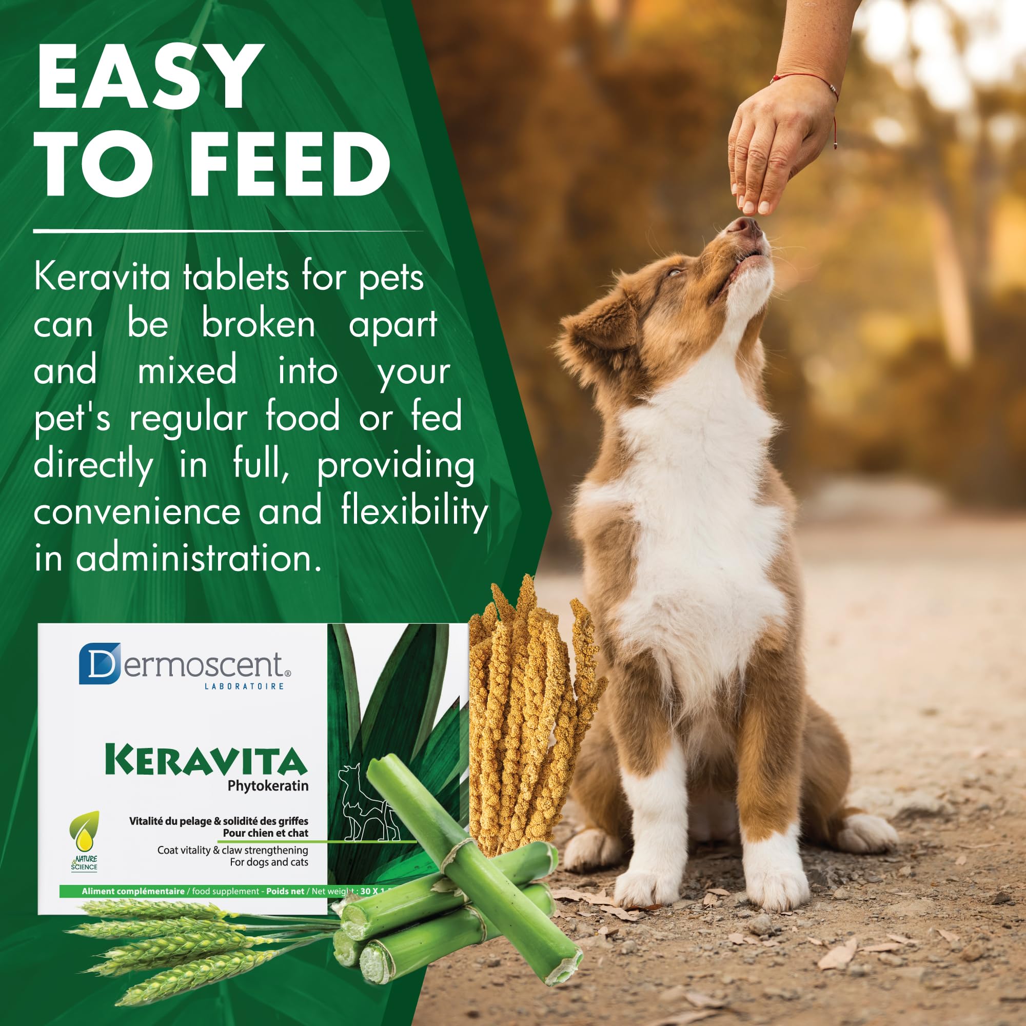 Keravita | witalność sierści i mocne pazury dla psów i kotów | naturalna formuła z keratyną botaniczną, bambusem, witaminami i cynkiem | łatwe w obsłudze, smaczne tabletki
