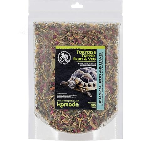 tortoise starter kit amazon