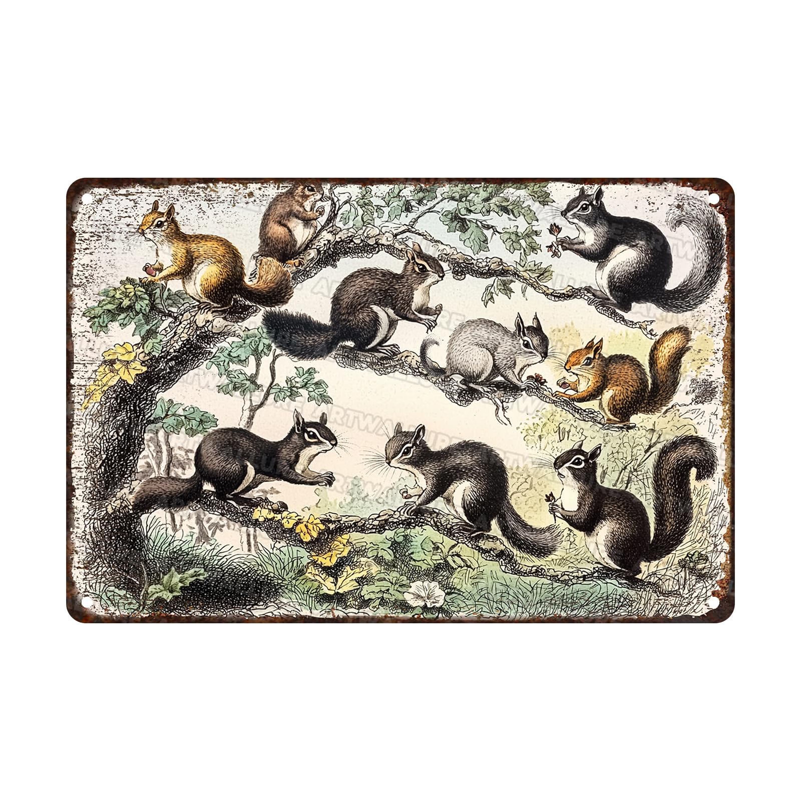 Squirrel Vintage Animal Poster Metal Tin Sign Funny Squirrel Sign for Man Cave Garden Shed Bar Bedroom Home Kitchen 8x12inch