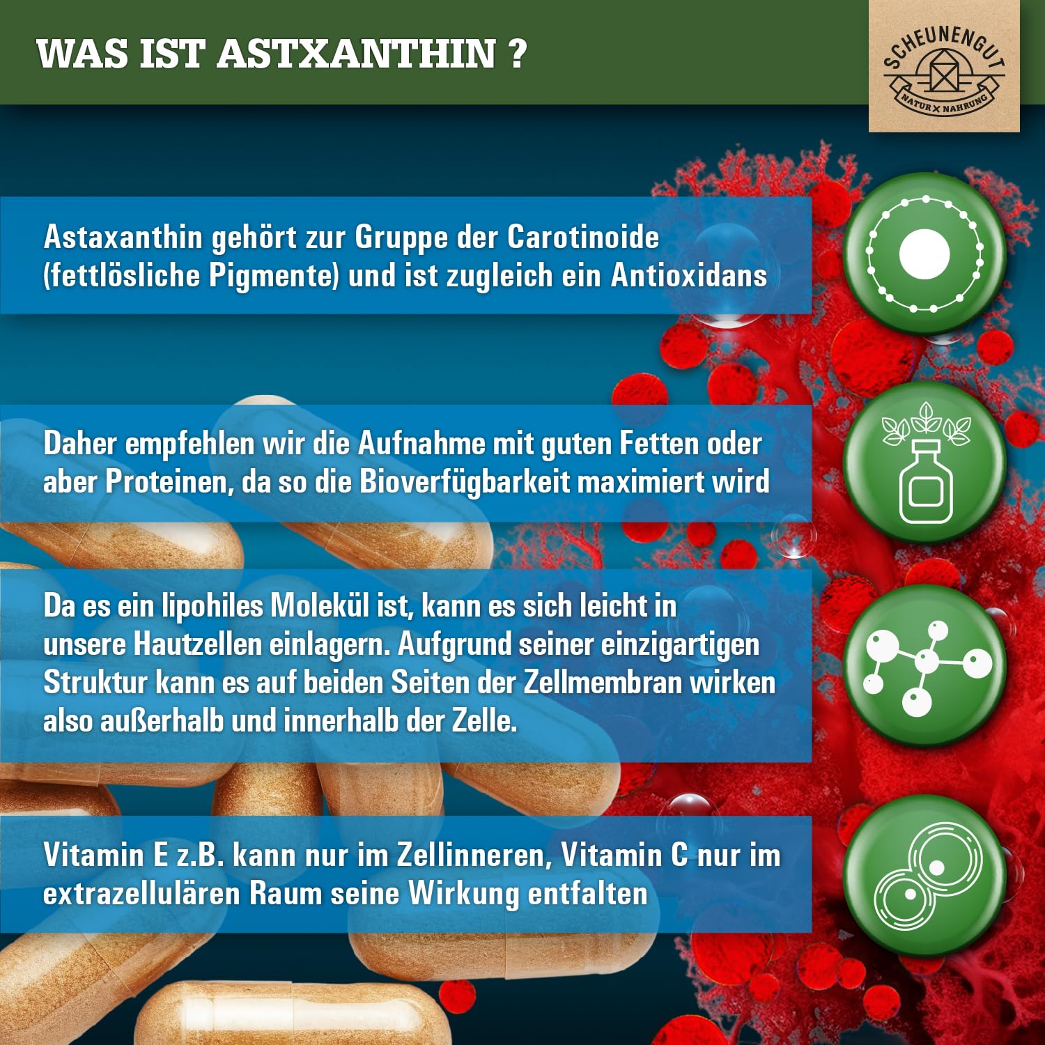 Astaxanthin 12mg -Direkt aus Frankreich- Oxidations-Schutz DE SCHEUNENGUT® | WICHTIG: Oxidationsfrei durch veresterte Struktur -keine China Ware- Zertifiziertes Astaxanthin hochdosiert 90Stk