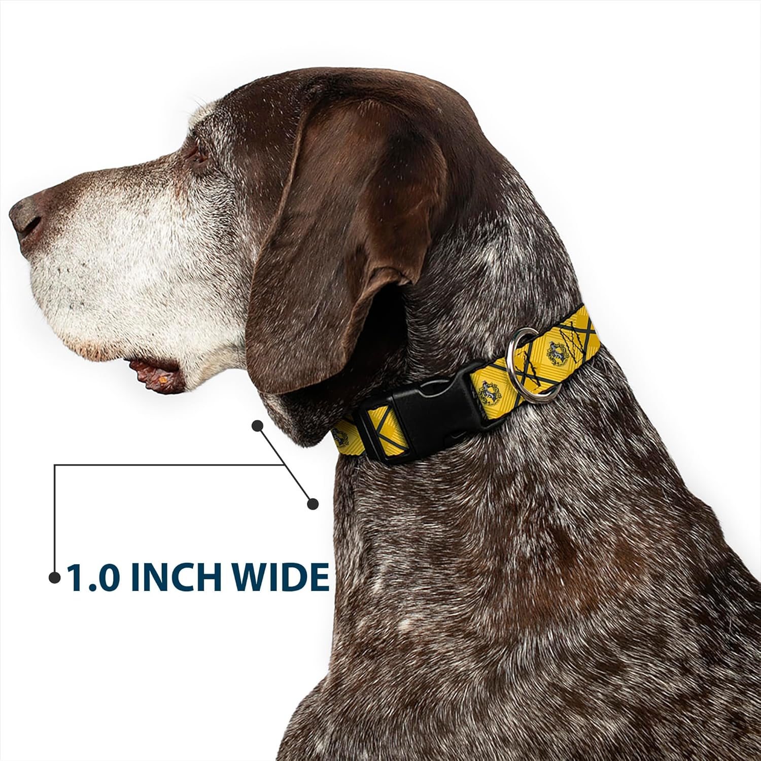 Buckle-Down Dog Collar Plastic Clip Harry Potter Hufflepuff Crest Plaid Yellows Gray 13 to 17 Inches 1.5 Inch Wide
