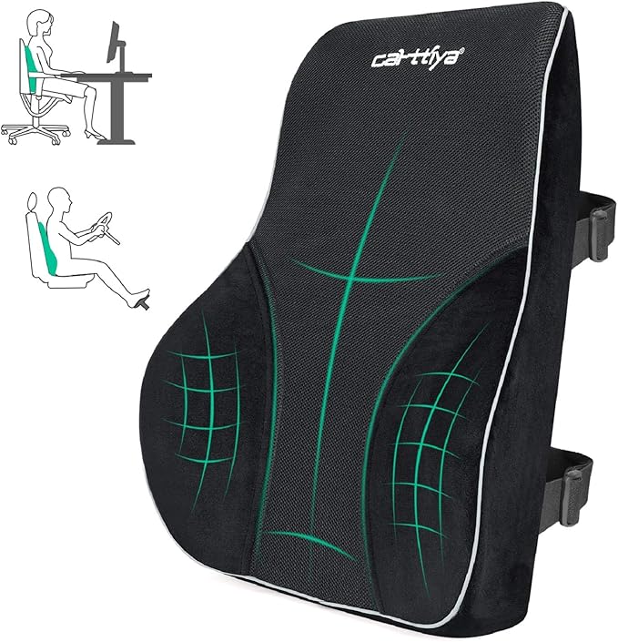 Carttiya Back Support Cushion, Memory Foam Ergonomic Lumbar Pillow for