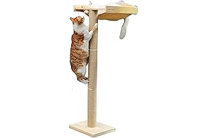 Cat Craft Cat Tree: A Purrfect Paradise for Window-Gazing Felines