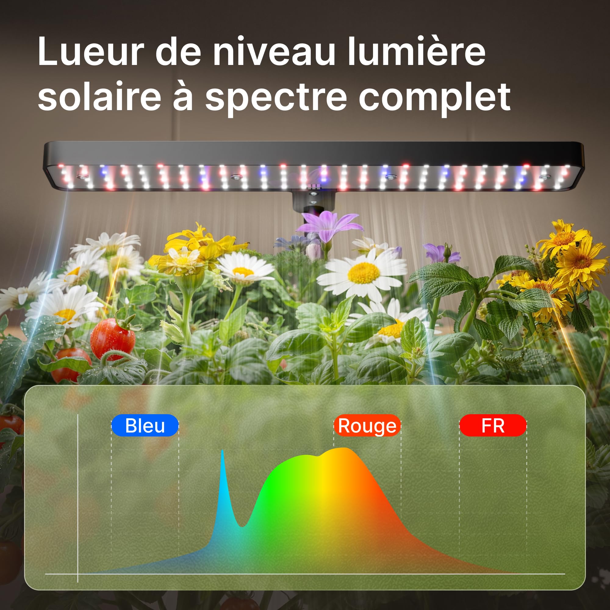 SUNCOZE Potager Hydroponique Smart avec 12 Paniers, Noir | Jardin d'Herbes avec Lampe LED 24W, Hauteur Réglable, Réservoir 4L, Pompe Intelligente Silencieuse, pour Maison et Cuisine