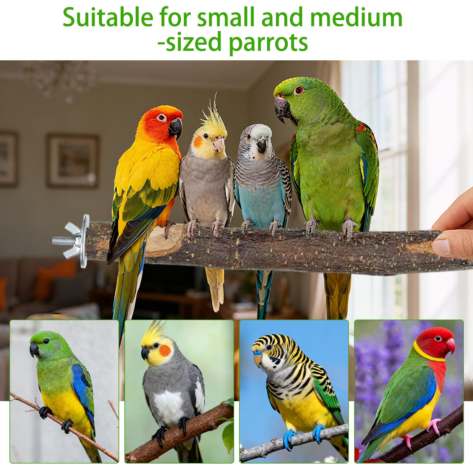 Honicemar Houten Vogelkooi Zitstokken Vogelstandaard Set - 5 Stuks Vogelkooi Accessoires voor Kleine tot Middelgrote Papegaaien, Bevordert Beweging Mentale Gezondheid