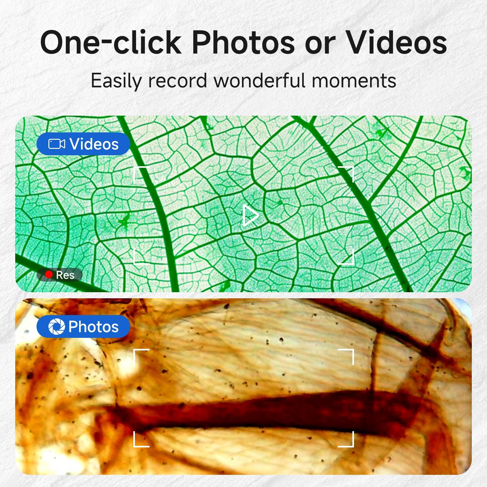 BEAVERLAB Microscopio 1000X HD Video/Foto Monedas Microscopio Portátil de Mano Digital WiFi USB Microscopio para Niños, Mini Cámara 8 Luces LED Ajustables Compatible con iPhone, Android, iPad