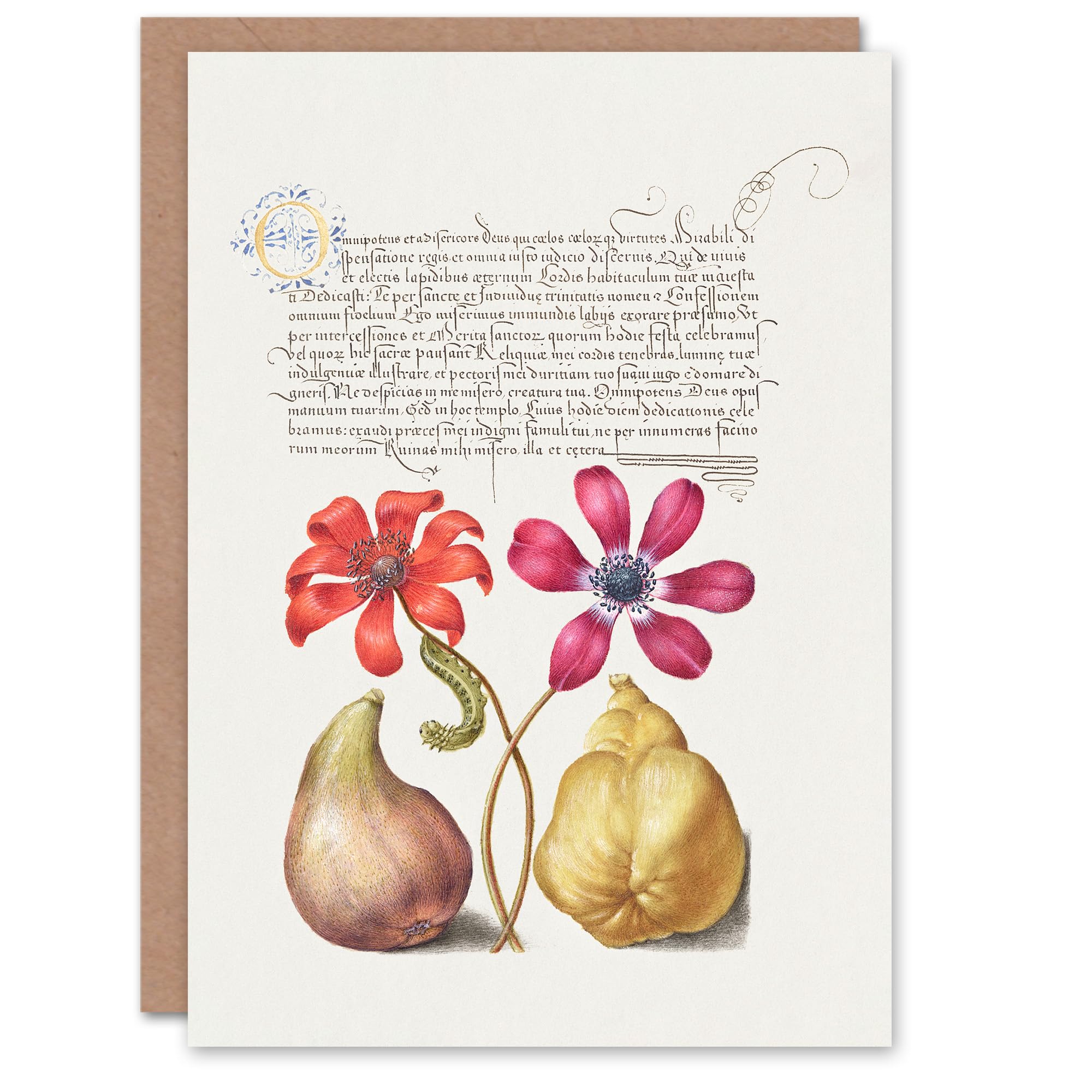 Artery8 Model Book of Calligraphy Art Card Poppy Anemone Fig and Quince