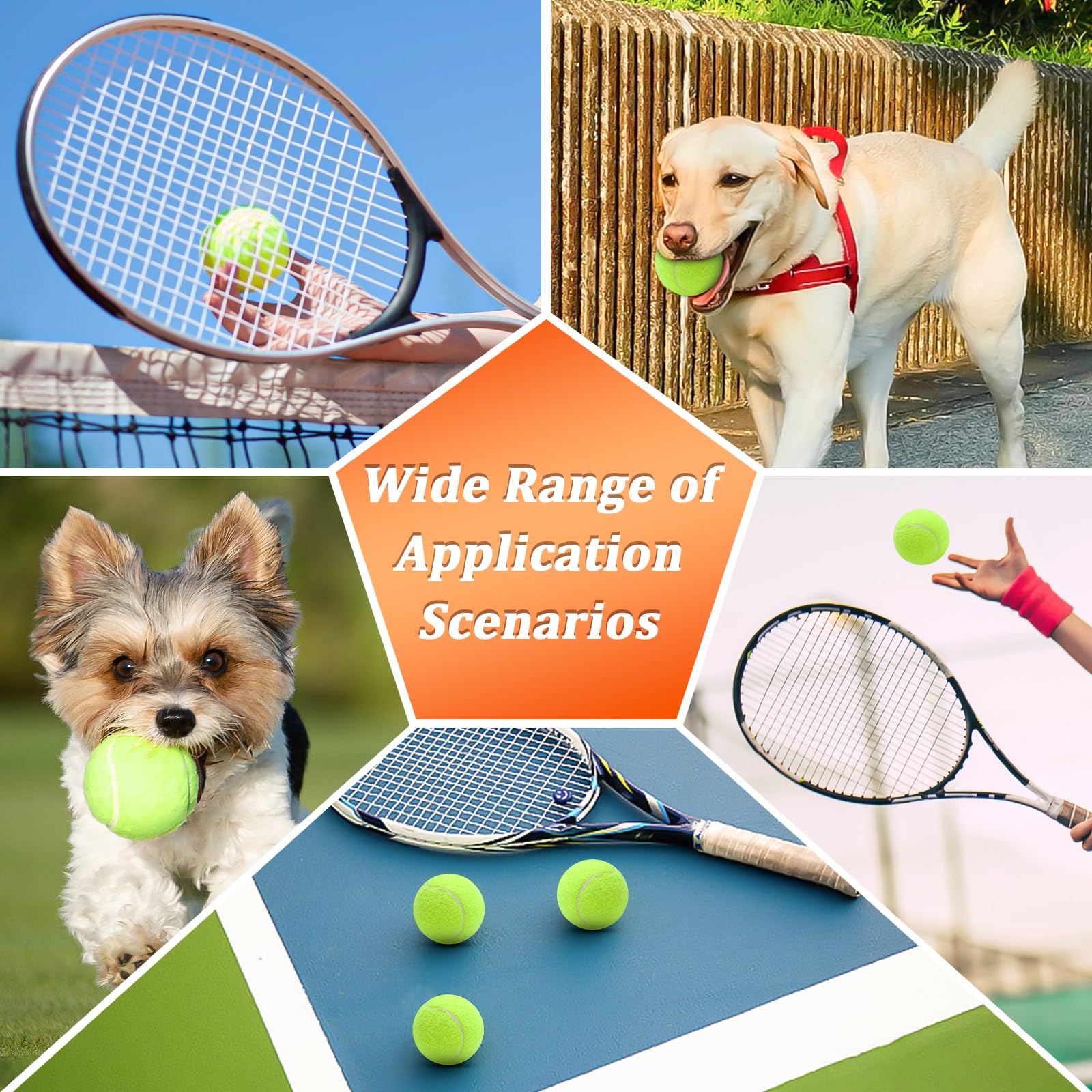 Lot de 6 balles de tennis d'entraînement élastiques résistantes et rapides pour intérieur extérieur