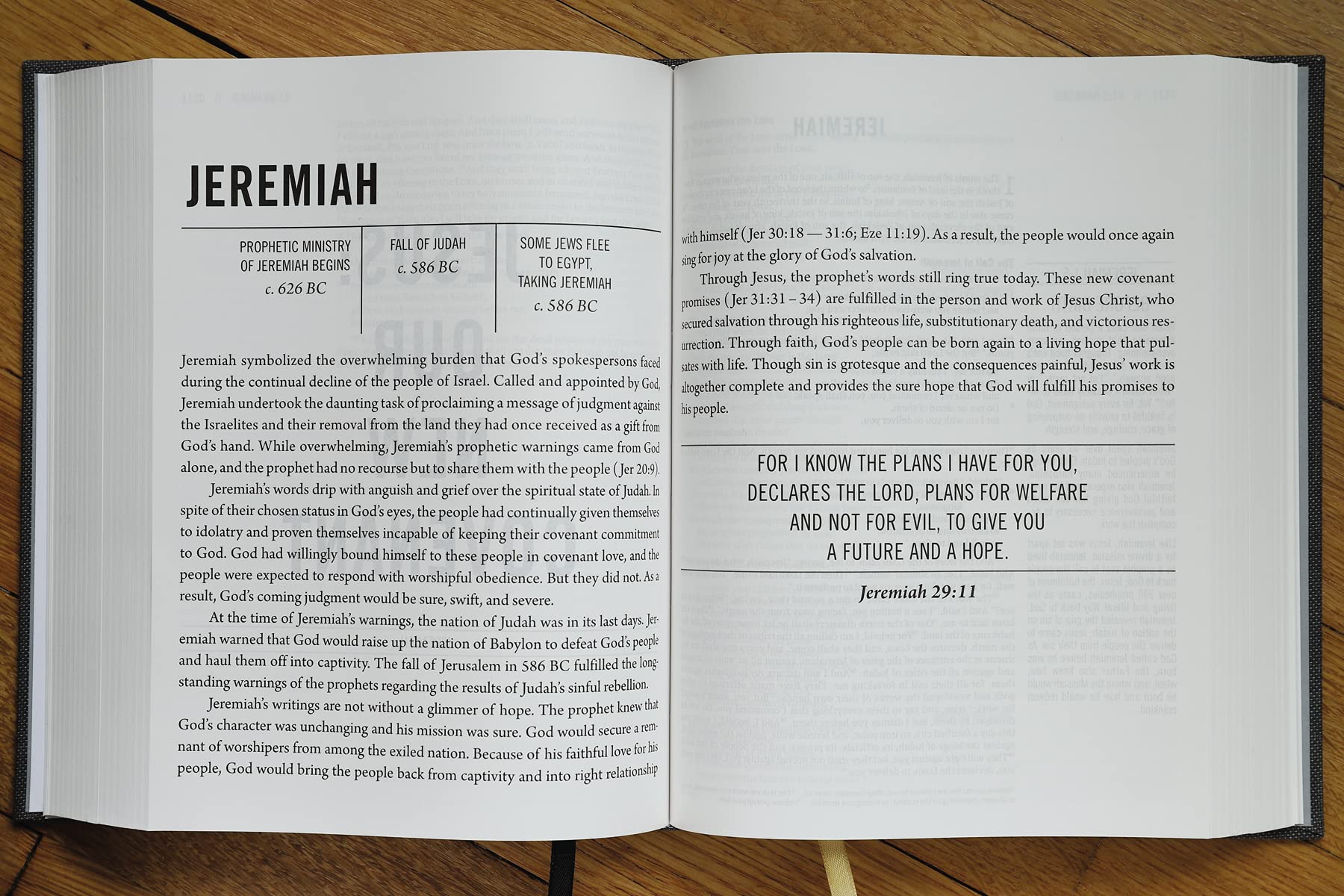 The Jesus Bible, ESV Edition, Cloth over Board, Gray - Image 10