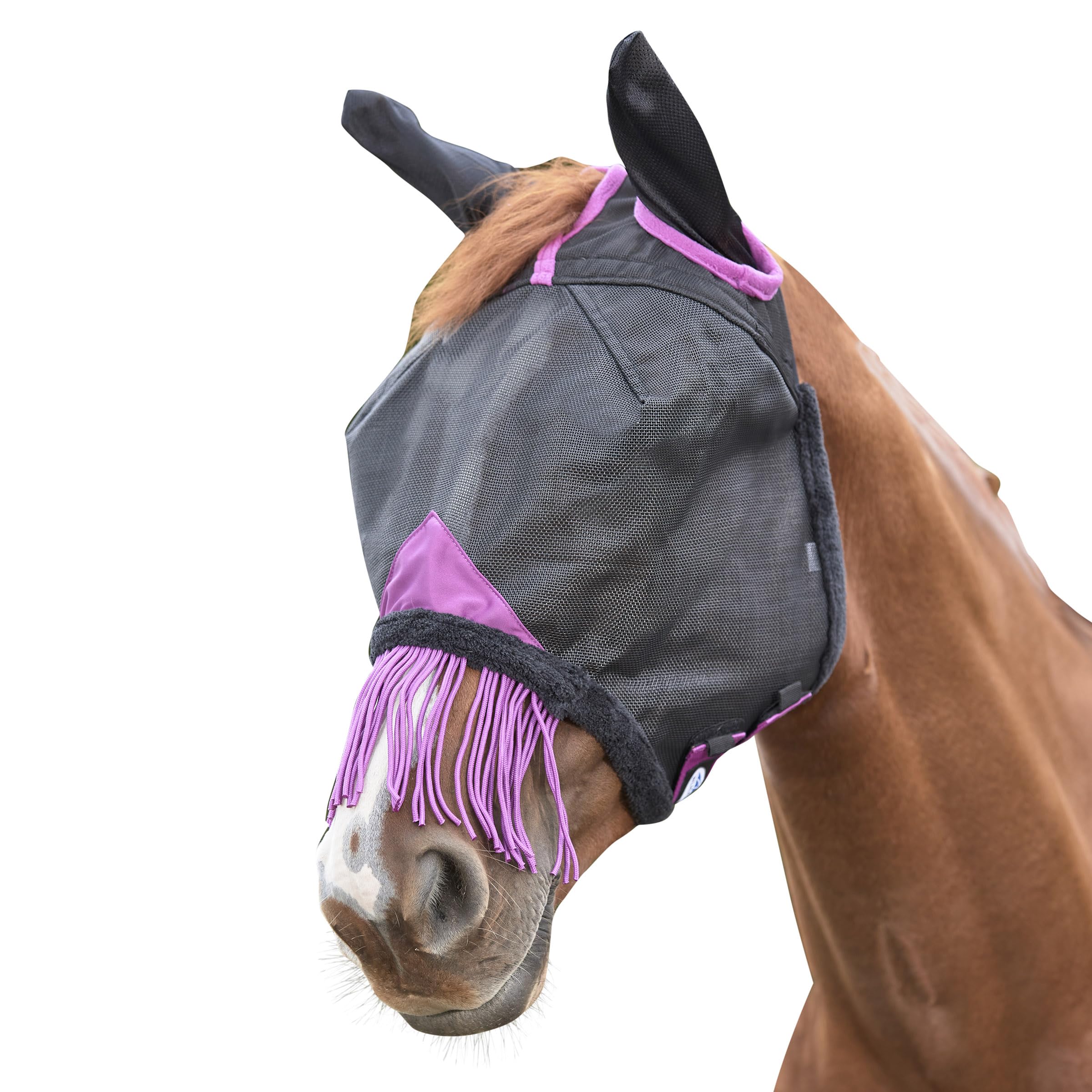 WeatherBeeta ComFiTec Deluxe Durable Mesh Mask with Ears & Tassels, Black/Purple, Small Pony