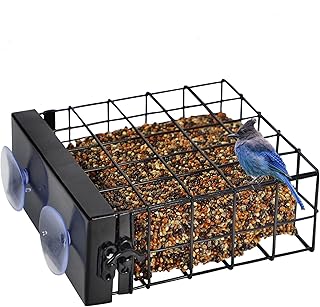 FORUP Window Suet Bird Feeder with Strong Suction Cups, Suet Feeders for Outside, Suet Cake Window Wild Bird Feeder