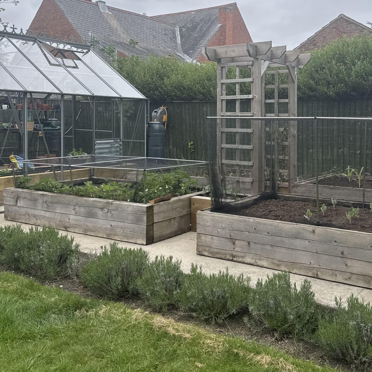Gardening-Naturally (500mm x 1.2m x 1.8m) Bird Netting - Joiners
