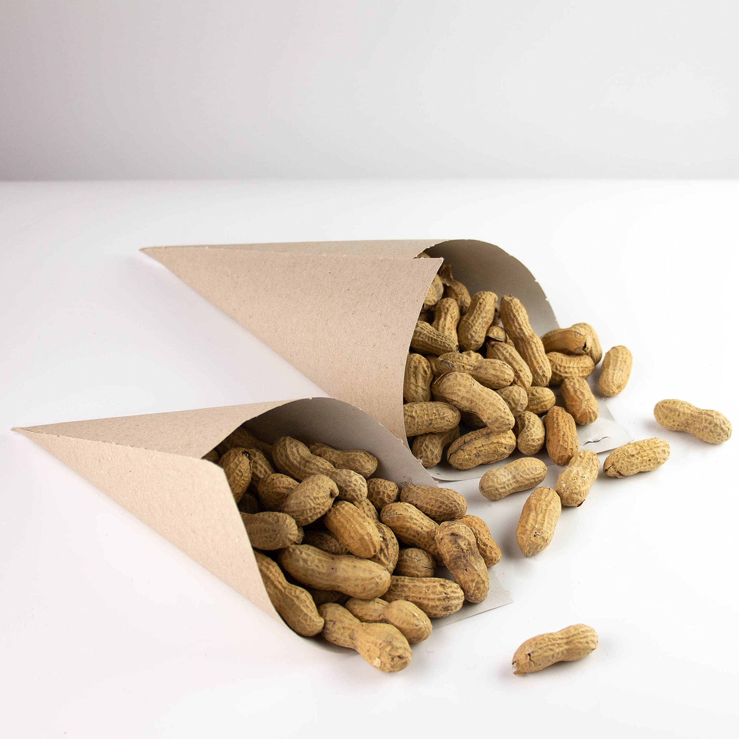 Extiff – Lote de 100 conos de cartón reciclados con marrones calientes o frutas secas o frescas, 100% reciclable, para eventos y bodas (cornet 17 x 24)