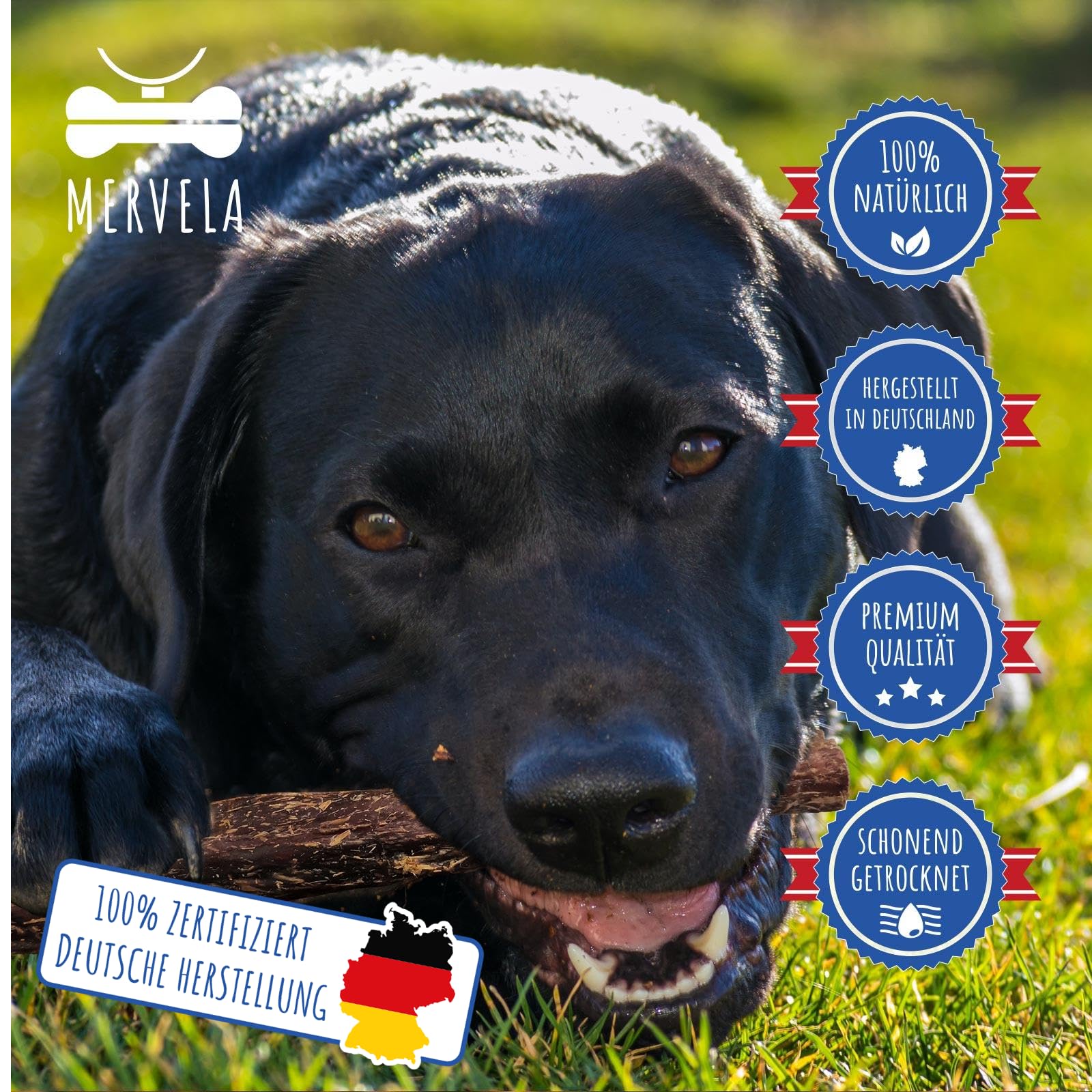 Natürliches Pferde-Dörrfleisch für Hunde | Hypoallergen | 100% Pferd | schonend luftgetrocknet | getreidefrei | Premium-Kausnack aus Deutschland | 500 g