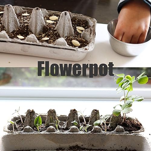 Miniatura 7 de Paquete de 18 cartones de huevos, bandeja de pulpa natural impresa, huevos grandes, almacenamiento vacío, capacidad para 1 docena de pollos frescos