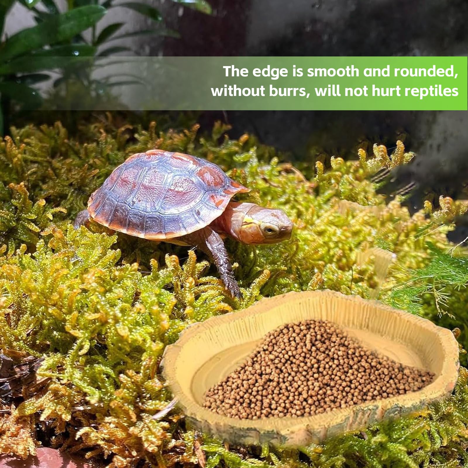 Abreuvoir Tortue Terrestre, Accessoire Tortue Terrestre Simulation, Gamelle Tortue Terrestre Nature, Bol d'eau pour Reptiles Intéressant, pour Tortues, Lézards, Grenouilles, Geckos | Gamelle Tortue Terrestre Nature Bol d'eau pour Reptiles Intéressant pour