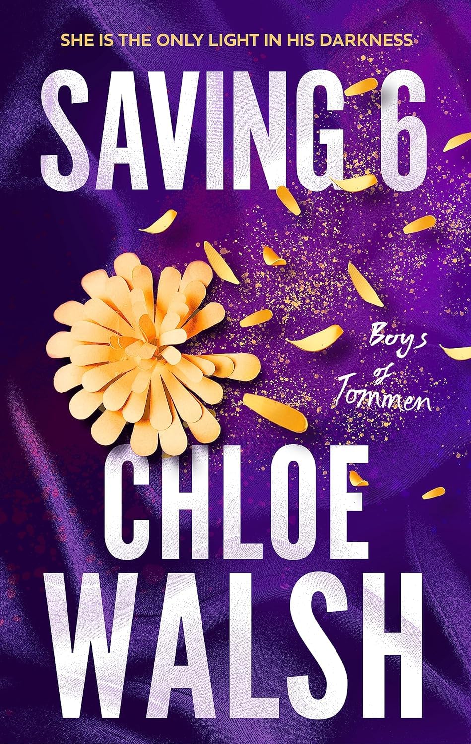 Foblit ltd Collezione di libri della serie 5 di Boys of Tommen di Chloe Walsh (Binding 13, Keeping 13, Saving 6, Redeeming 6 e Taming 7)