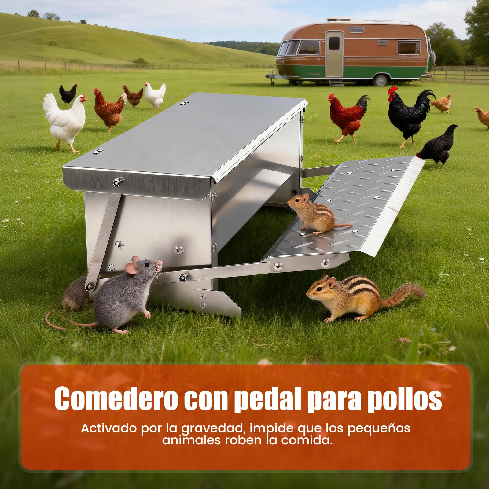 Comedero de Pedal para Pollos 5kg Metálico, Alimentador Anti Desperdicio A Prueba de Roedores con Tapa Resistente a la Intemperie para Gallinas Enanas y Faisanes