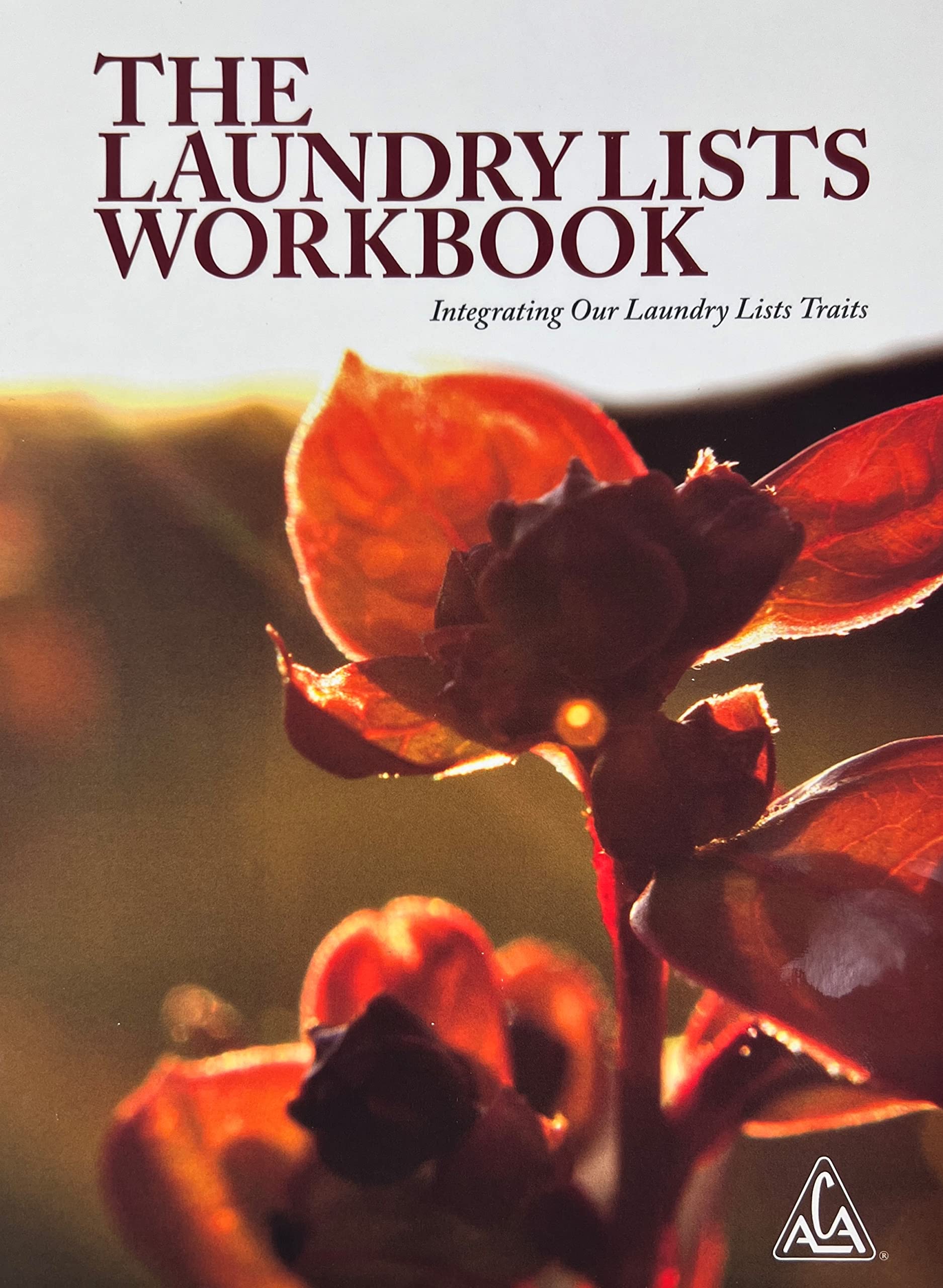 The Laundry Lists Workbook: Healing our harmful personality traits developed from childhood trauma that we learned in dysfunctional and abusive families
