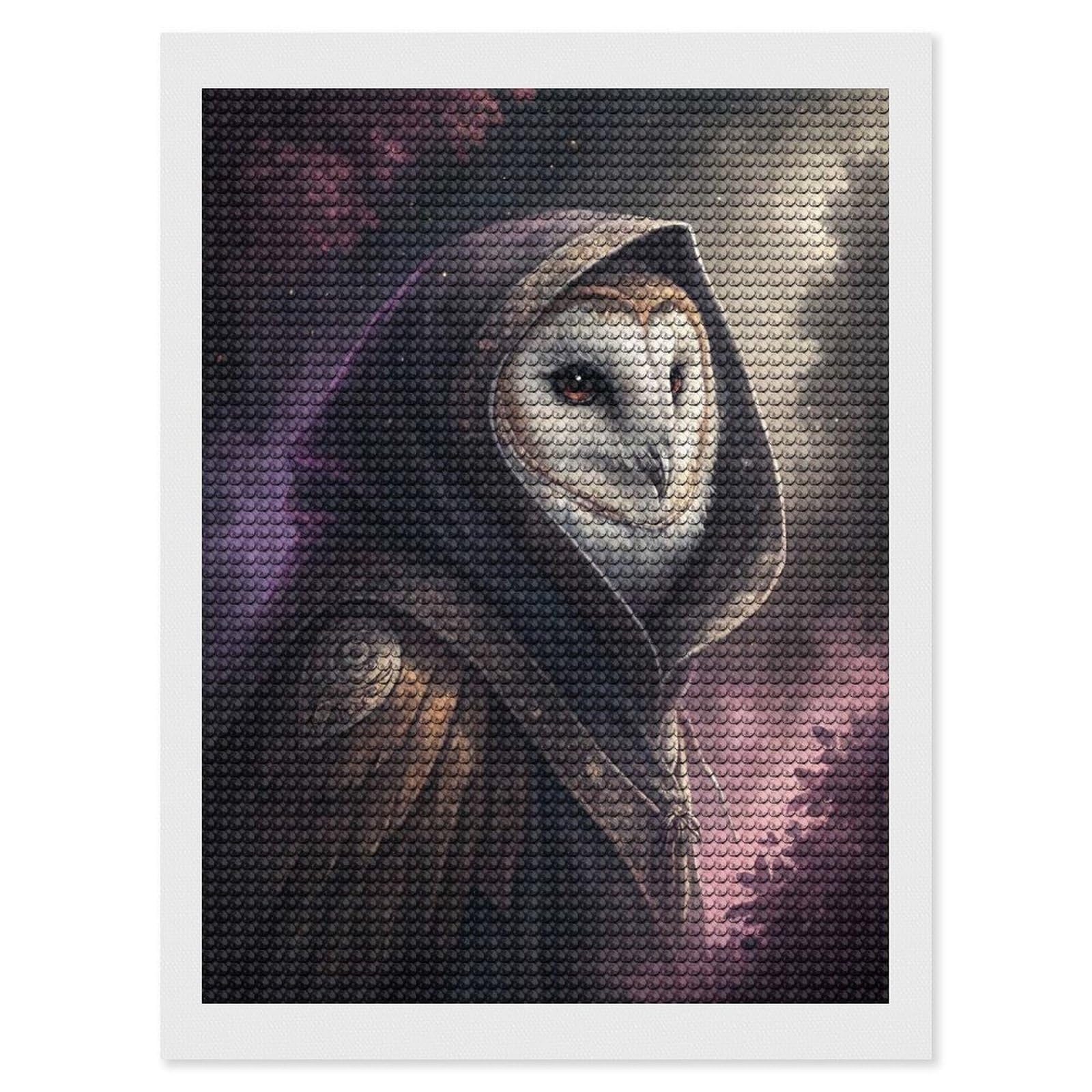 Junmoney Mysterious Hooded Owl Wizard Diamond Painting Canvas Kit 12"x16", Relaxing DIY, Modern Decor, Aesthetic Room Decor, Home Wall Art, Wall Art Gift